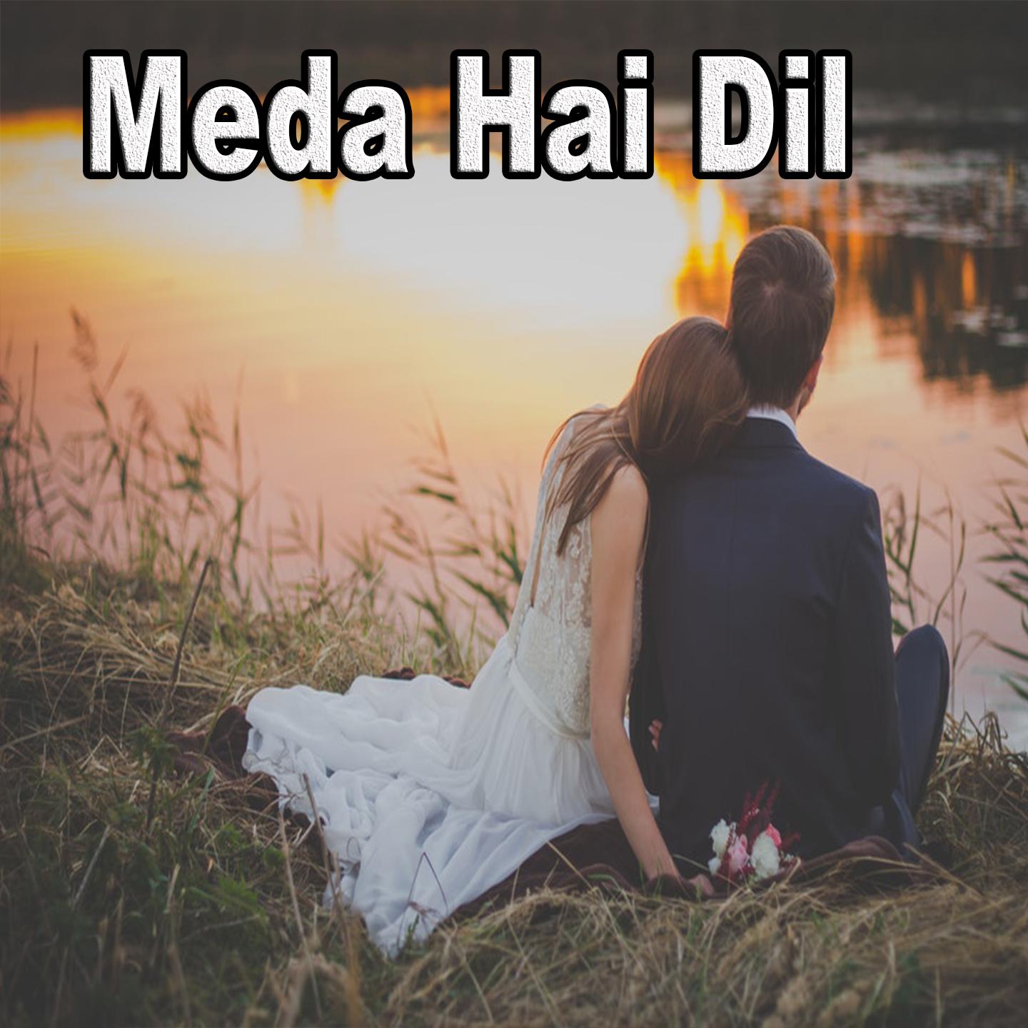 Meda Hai Dil