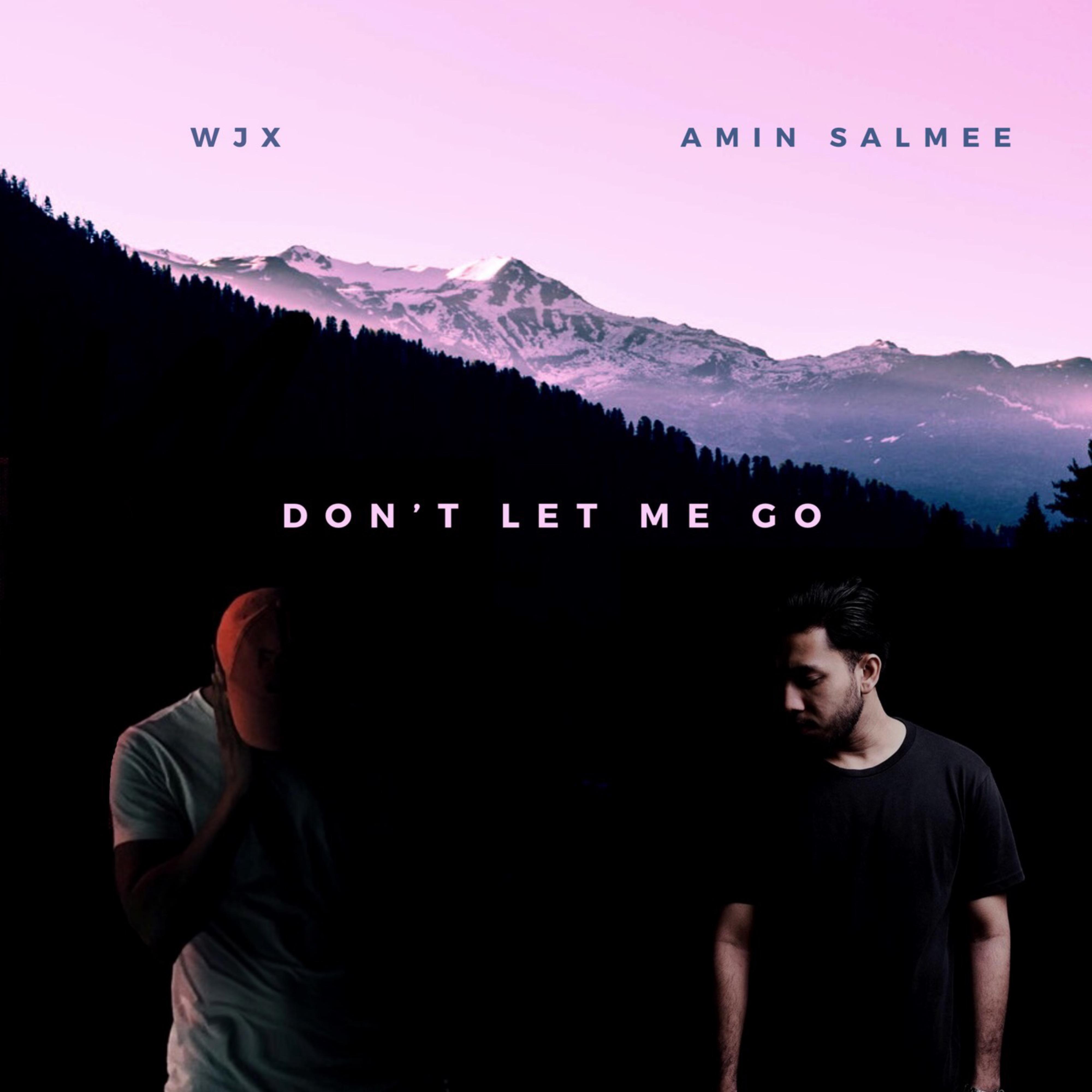 Don't Let Me Go