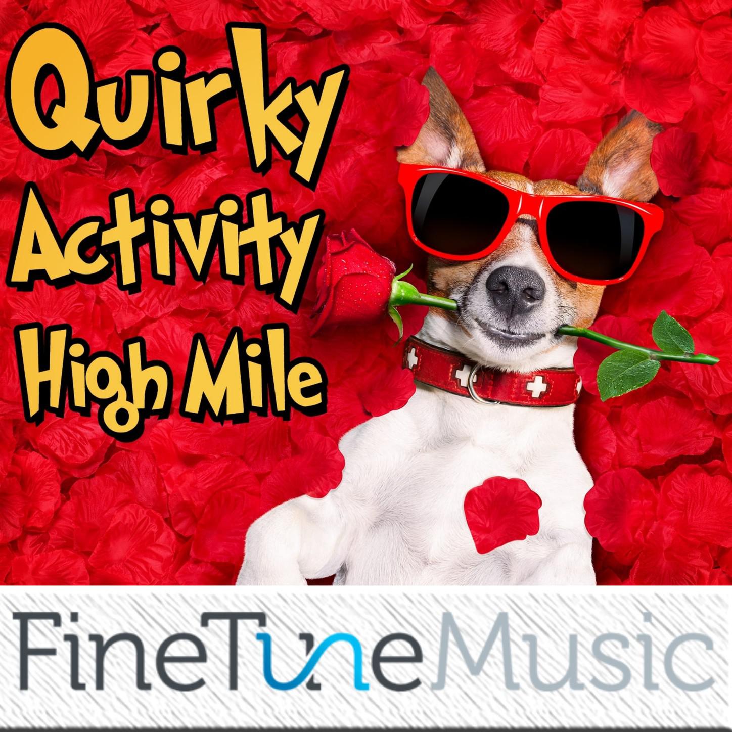 Quirky: Activity Mile High