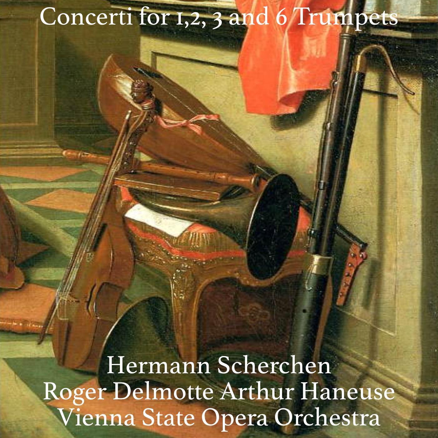 Concerto in D Major for 2 Trumpets and Strings Orchestra with Harpsichord and Organ, IFM 1: II. Largo