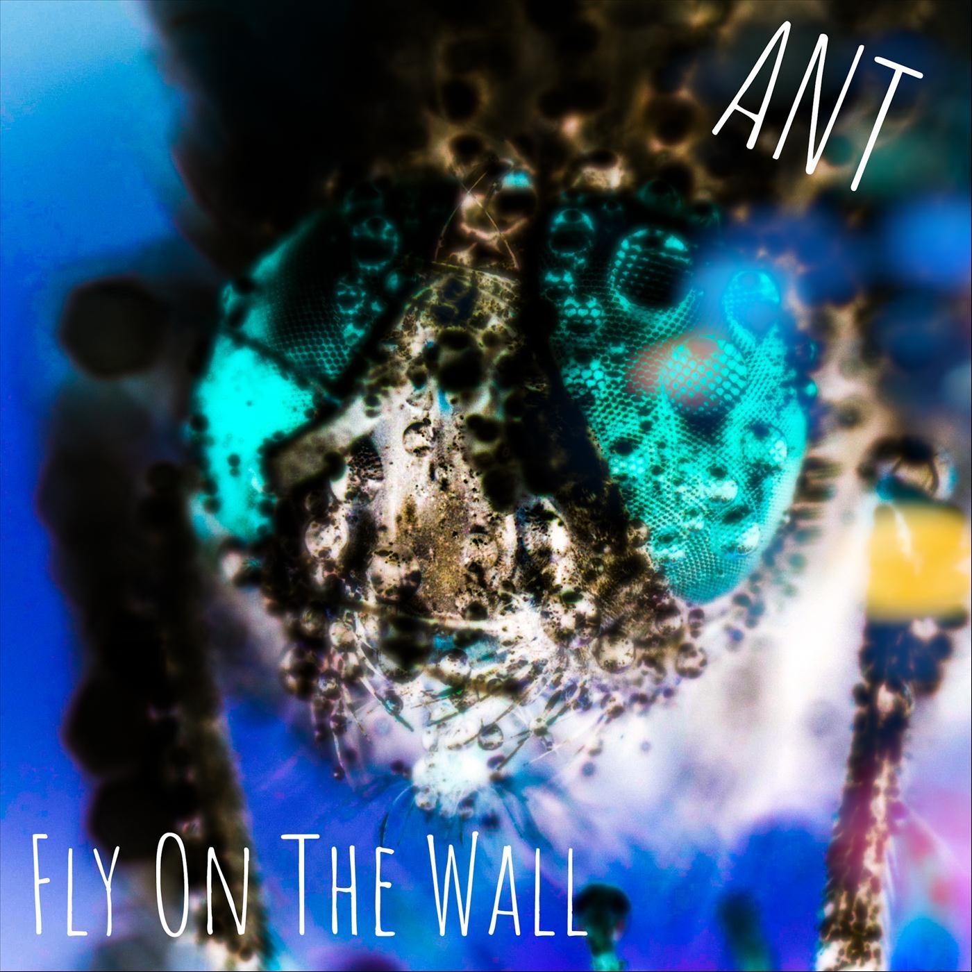 Fly on the Wall