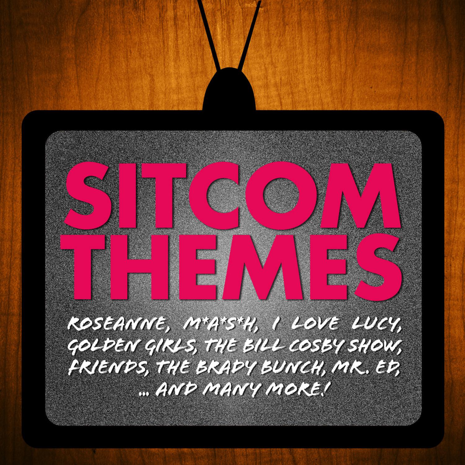 Sitcom Themes