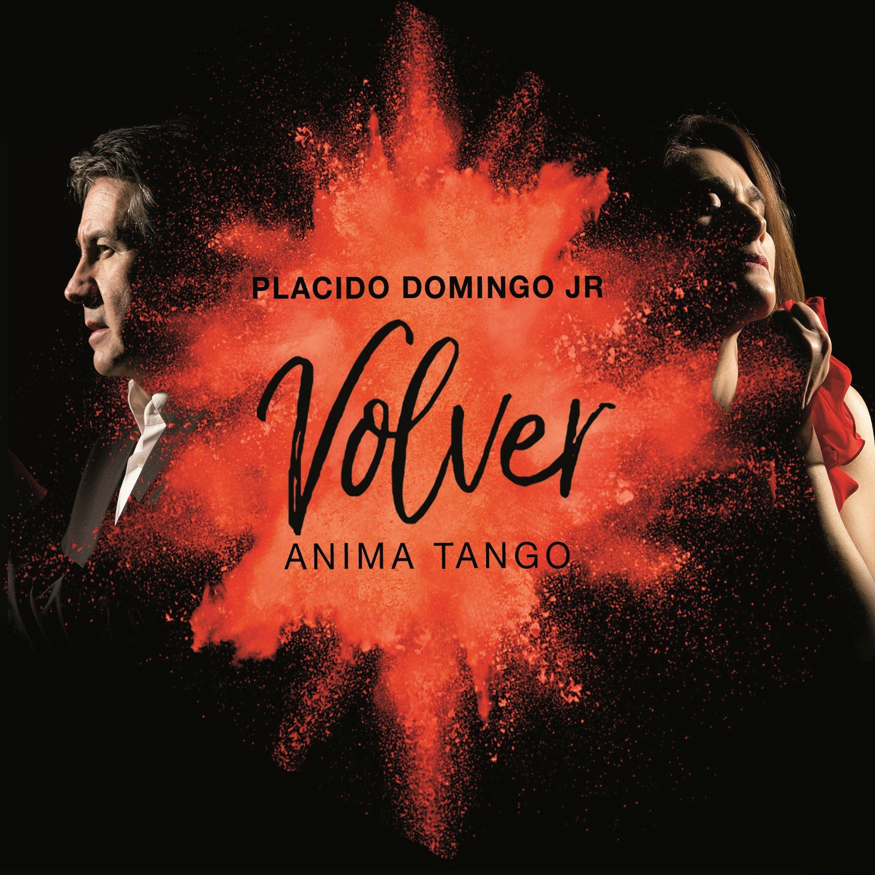 Volver Anima Tango