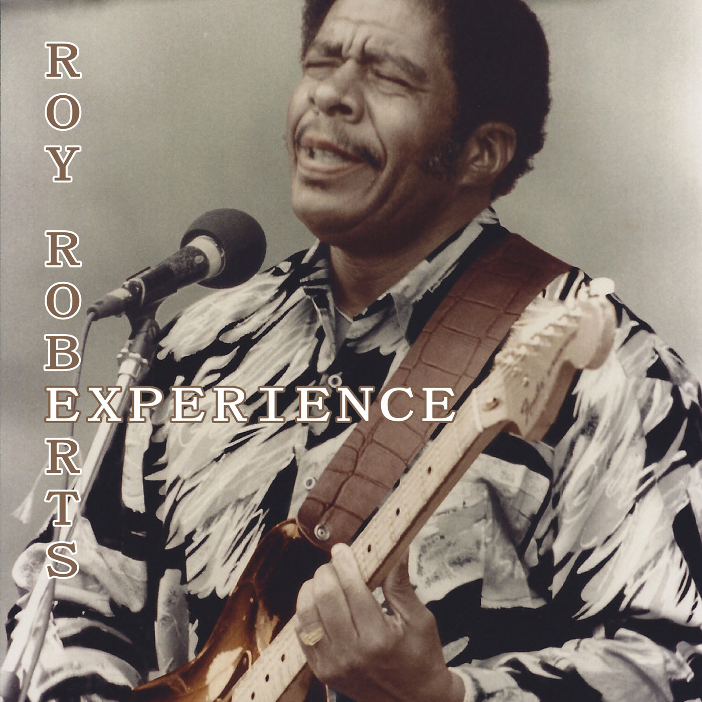 Roy Roberts Experience