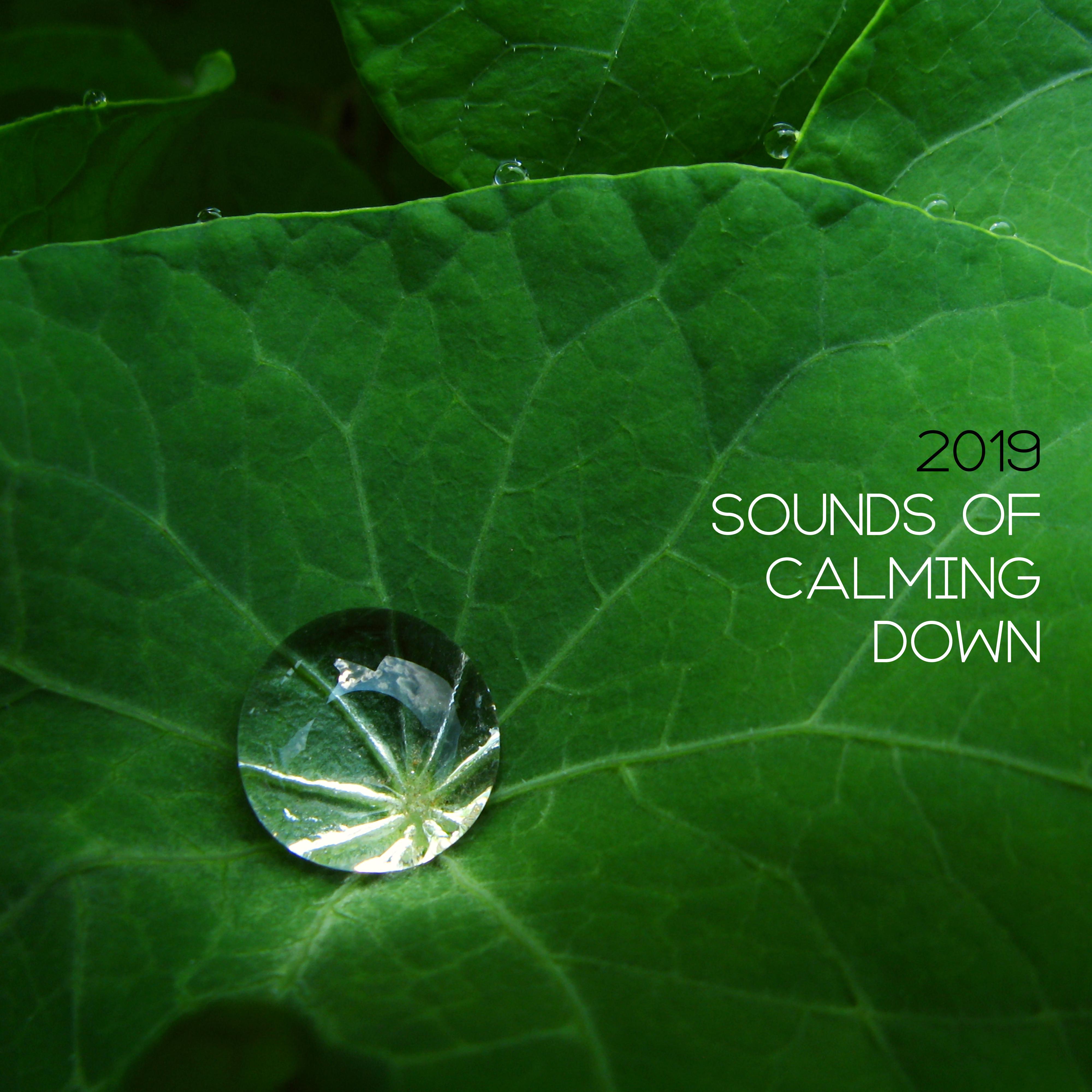 2019 Sounds of Calming Down – New Age Relaxing Music, Stress Relief, Nature Sounds of Water, Wind & Animals