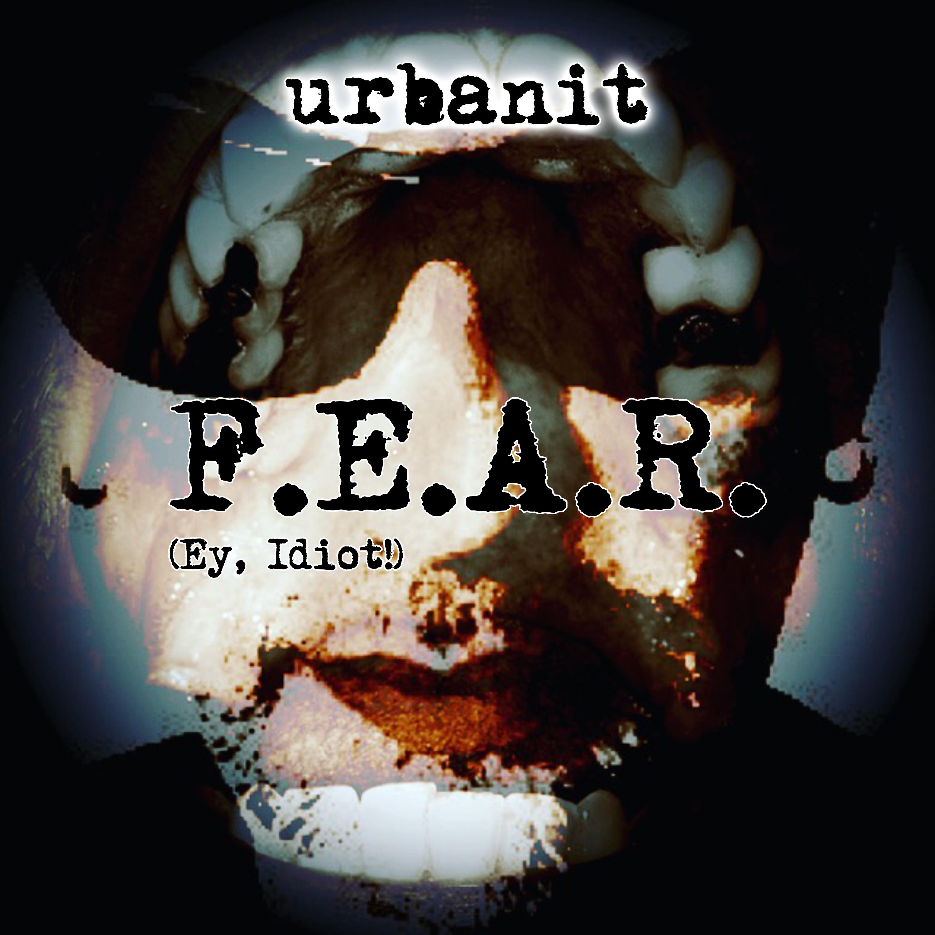 F.E.A.R. (Ey, Idiot!)