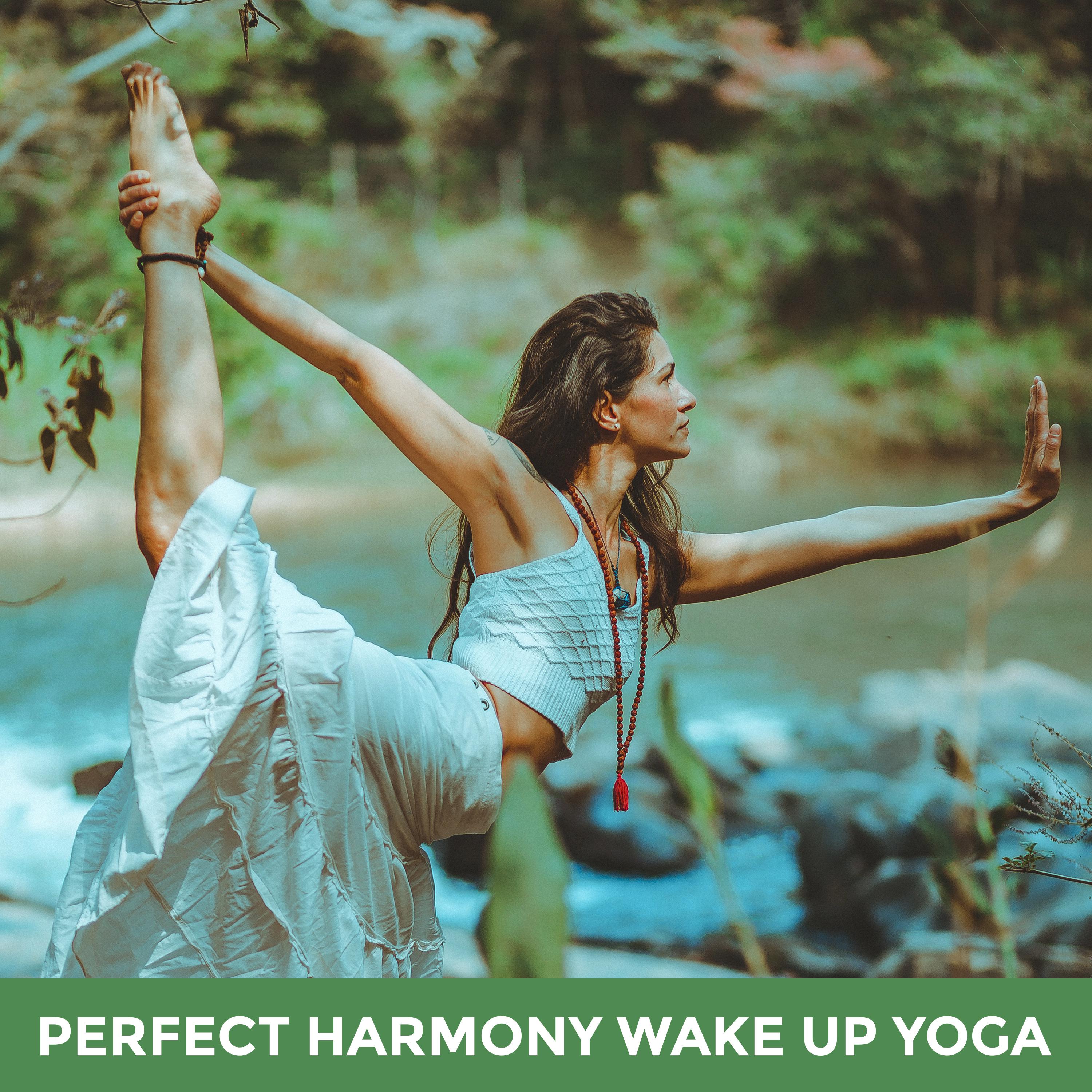 Perfect Harmony Wake Up Yoga: 2019 New Age Deep Ambient Music for Morning Meditation Session, Vital Energy for All Day, Positive Attitude, Chakra Opening