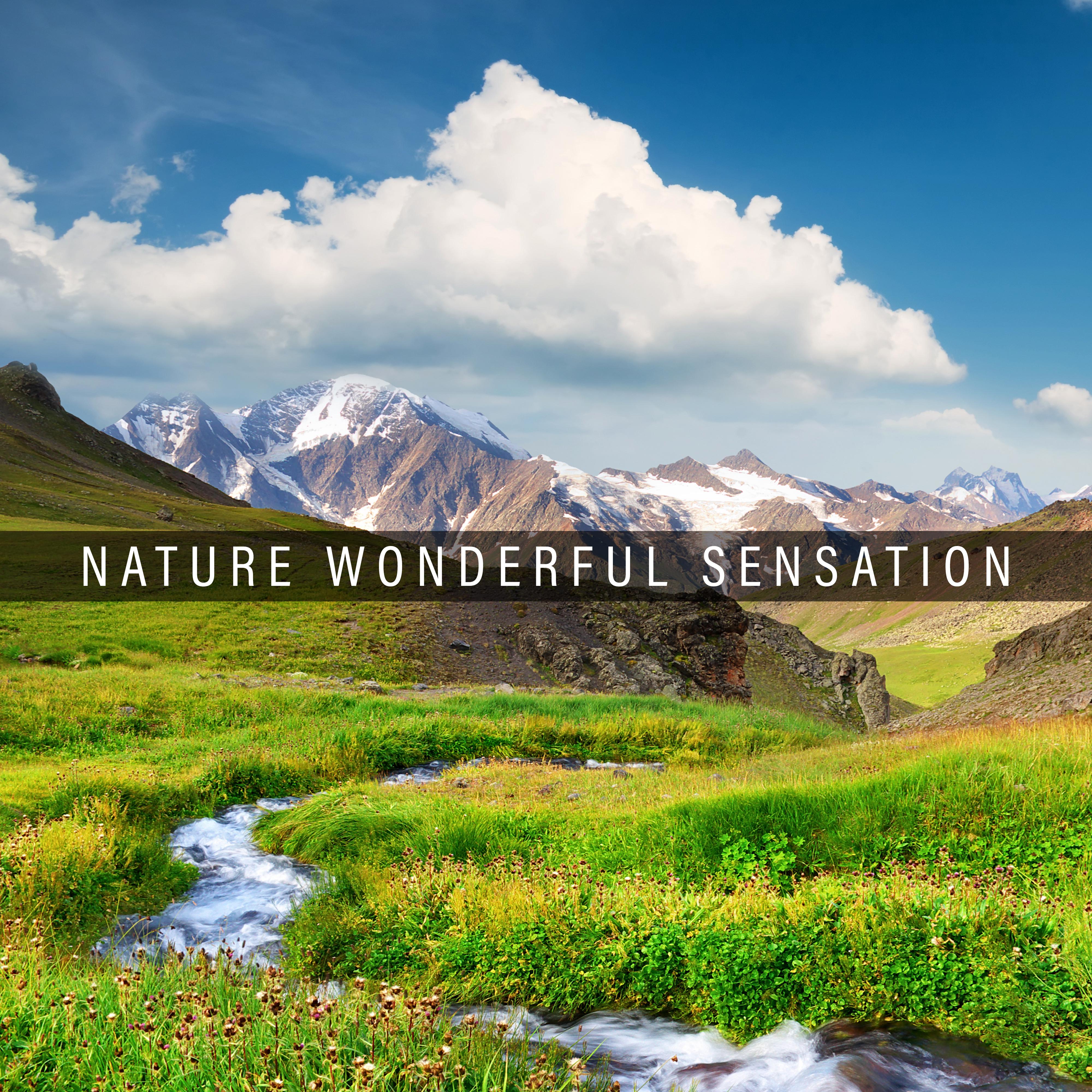 Nature Wonderful Sensation: 2019 Compilation of New Age Nature Music, Perfect Relaxation Sounds, Soothing Piano Melodies
