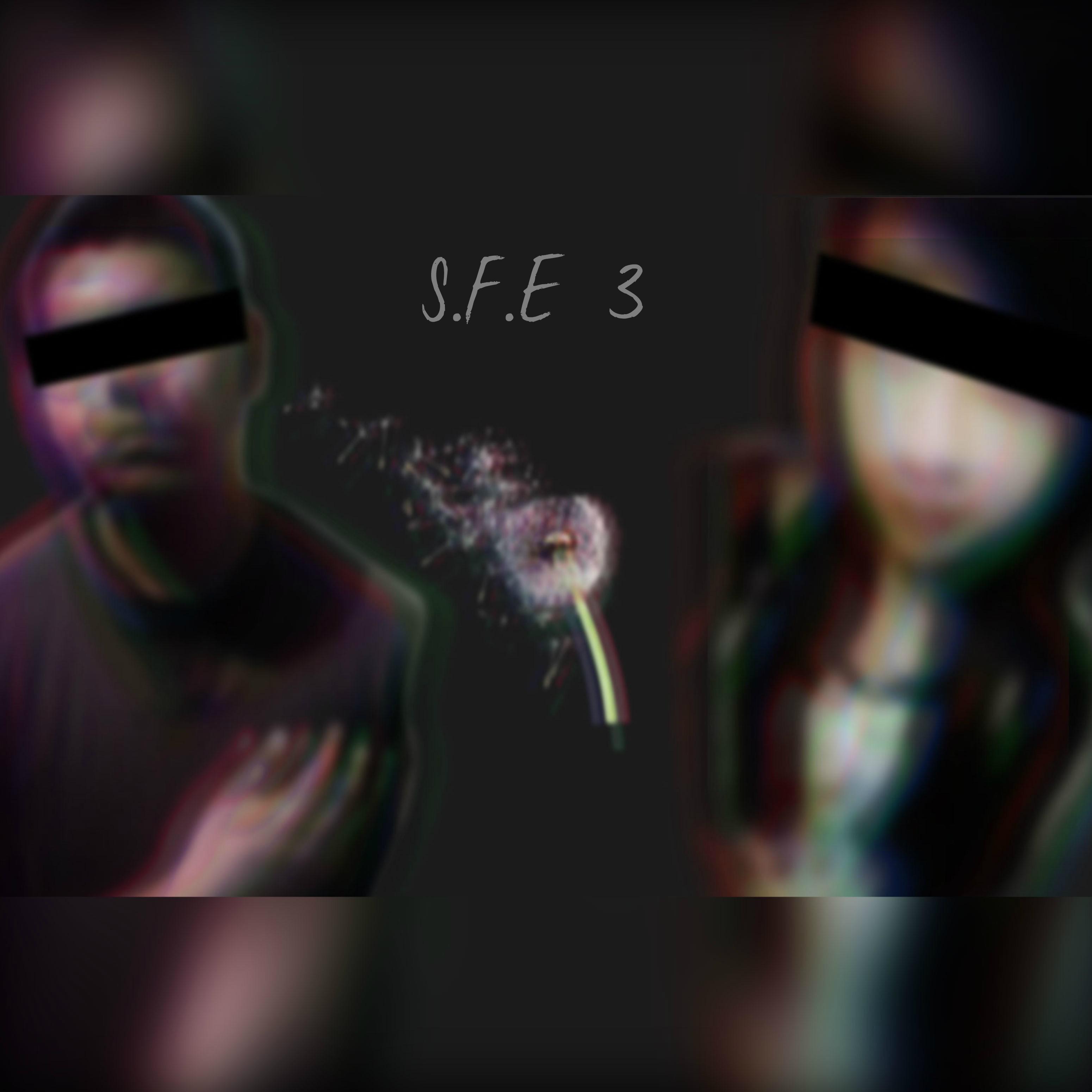 S.f.e 3