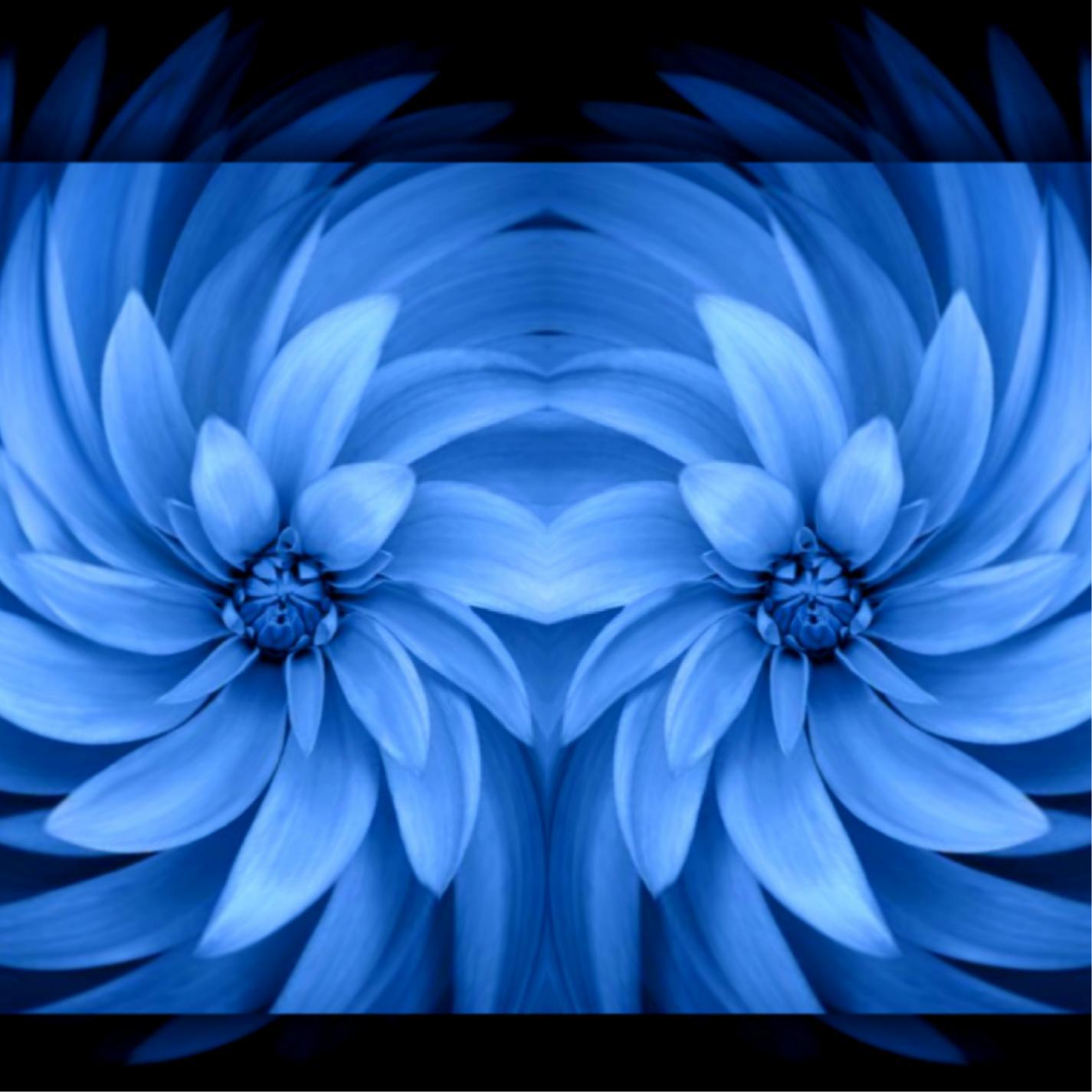 Blue Flower (Original)