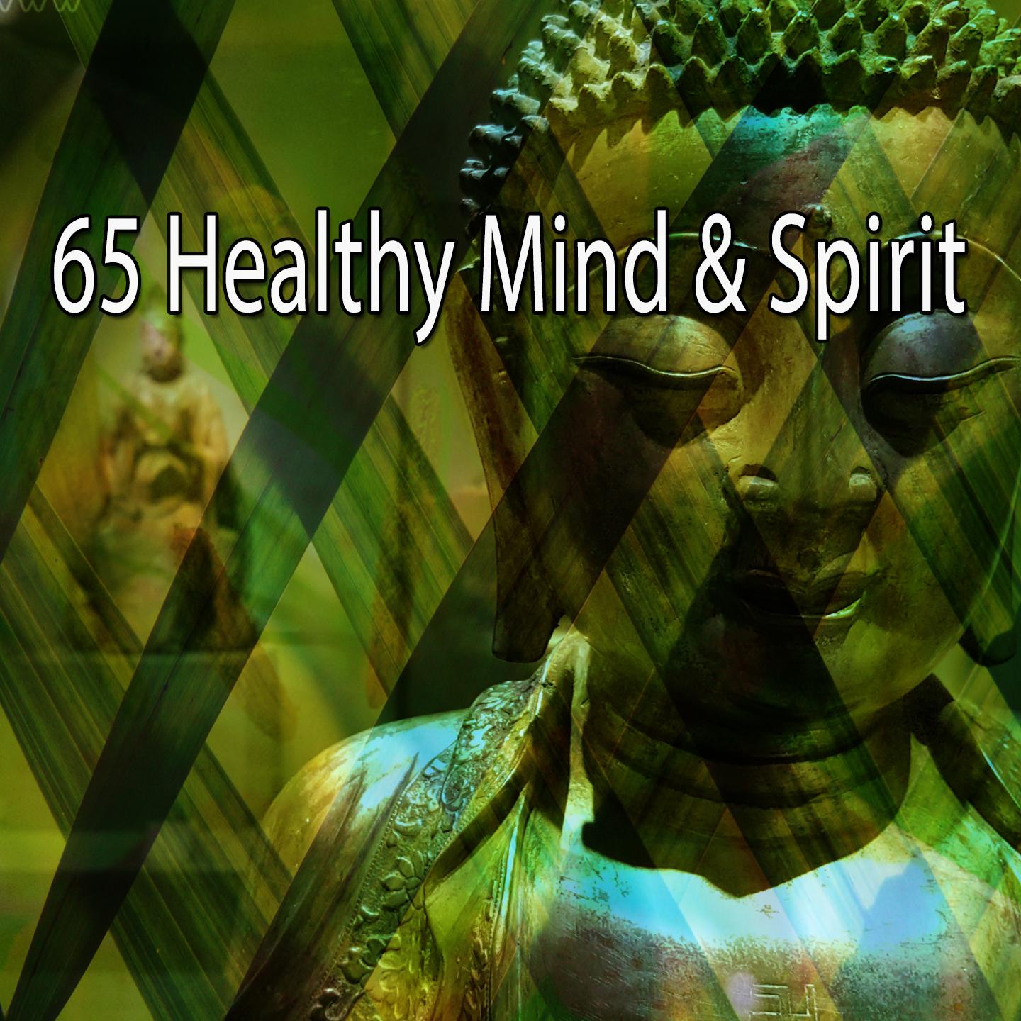 65 Healthy Mind & Spirit