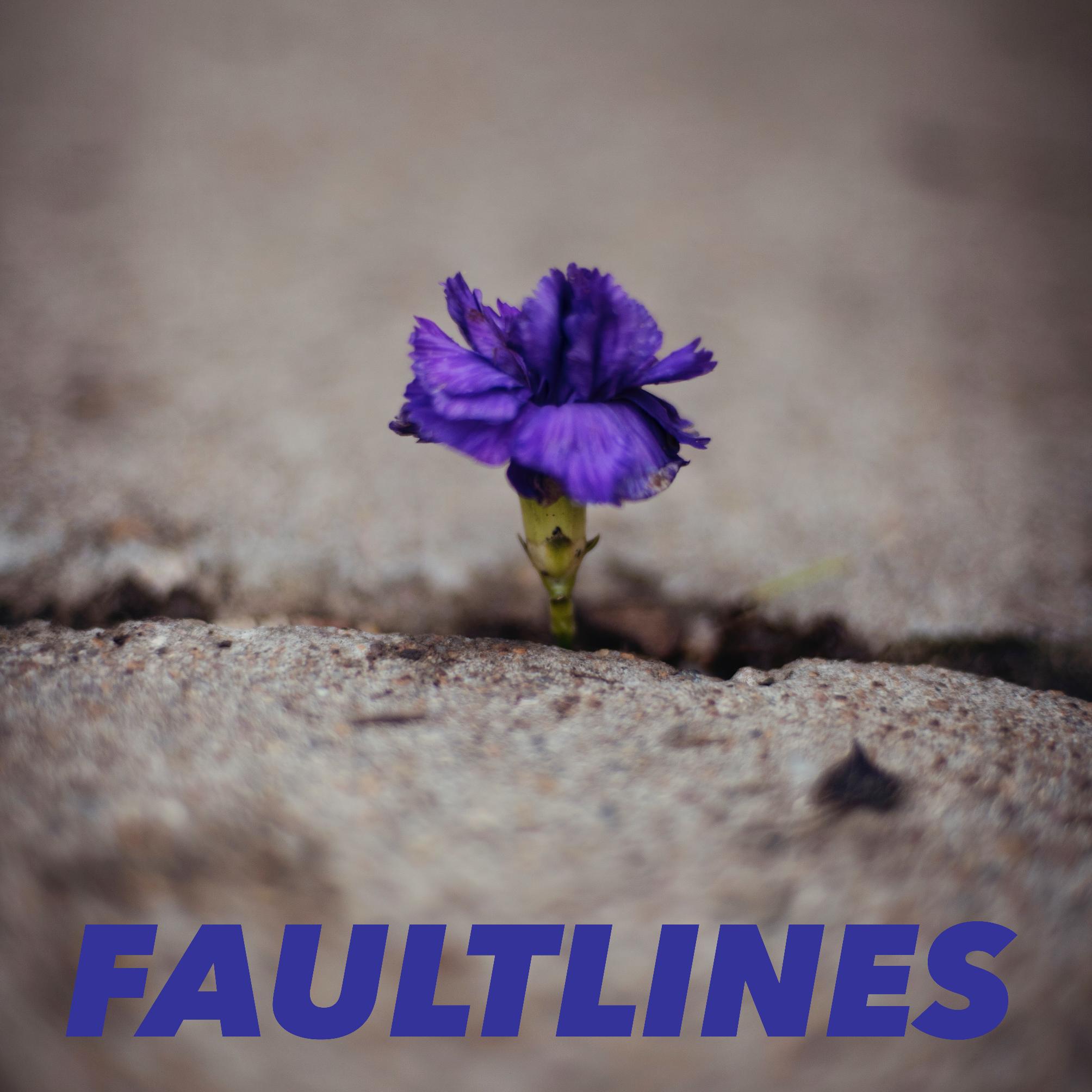 Faultlines