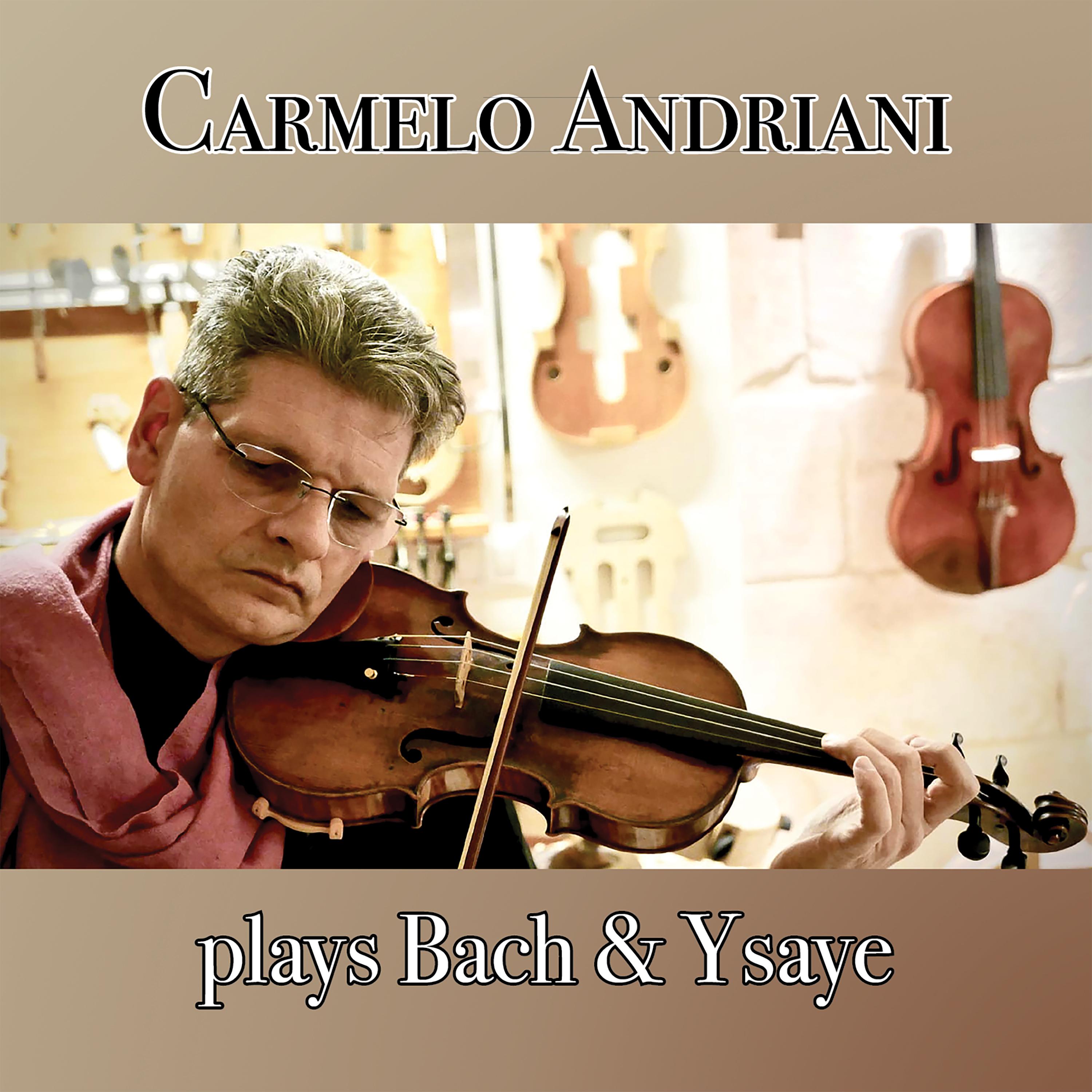 Violin Partita No. 2 in D Minor, BWV 1004: V. Ciaccona