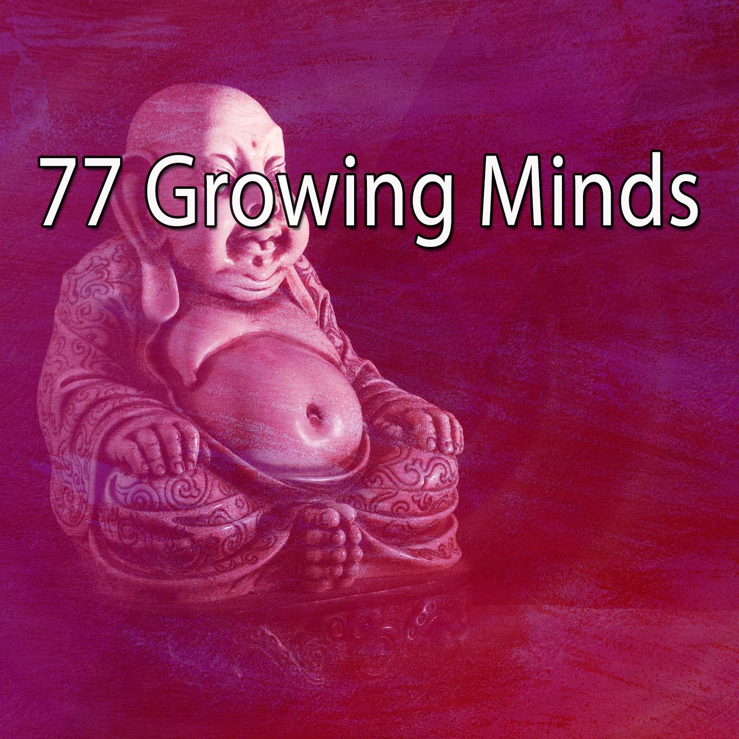 77 Growing Minds