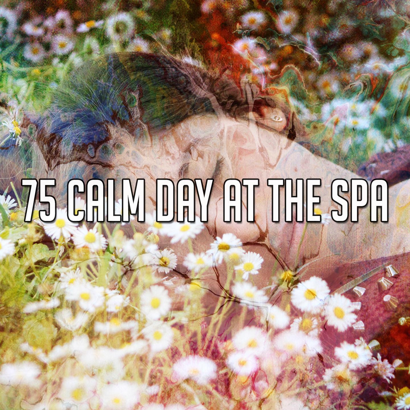 75 Calm Day at the Spa
