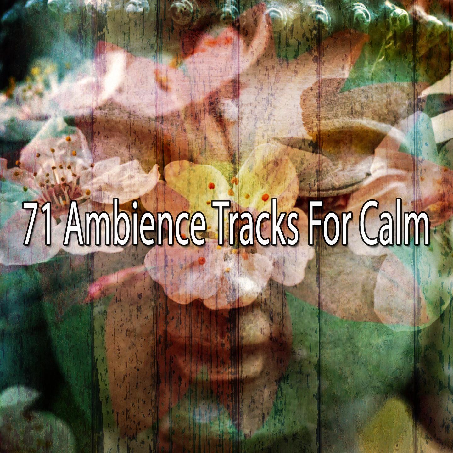 71 Ambience Tracks for Calm