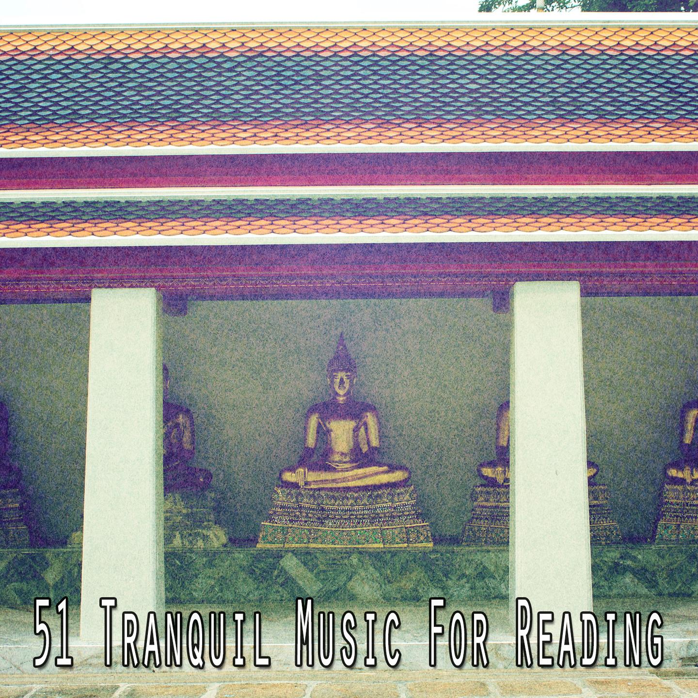 51 Tranquil Music for Reading