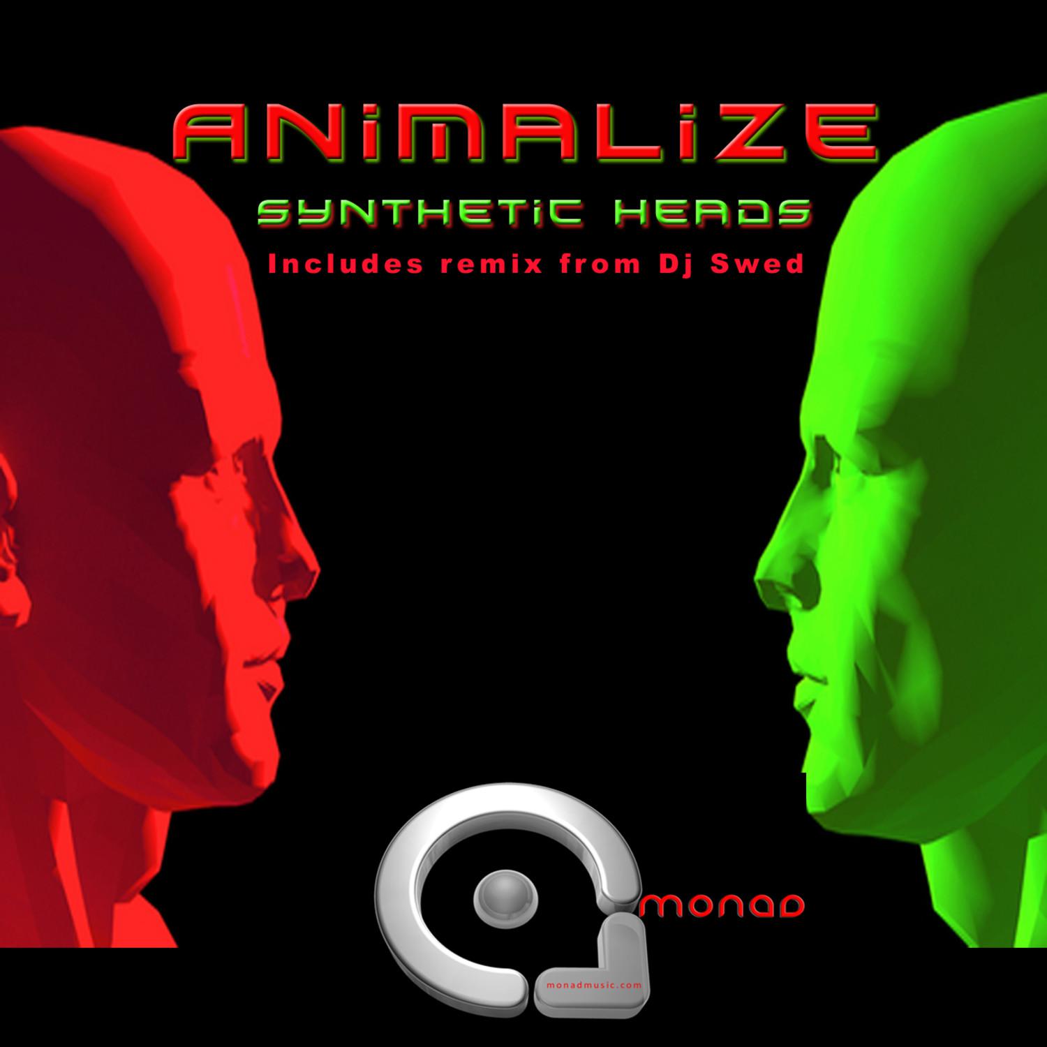 Synthetic Heads