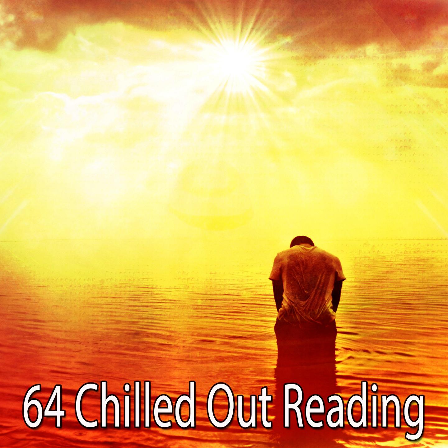 64 Chilled out Reading