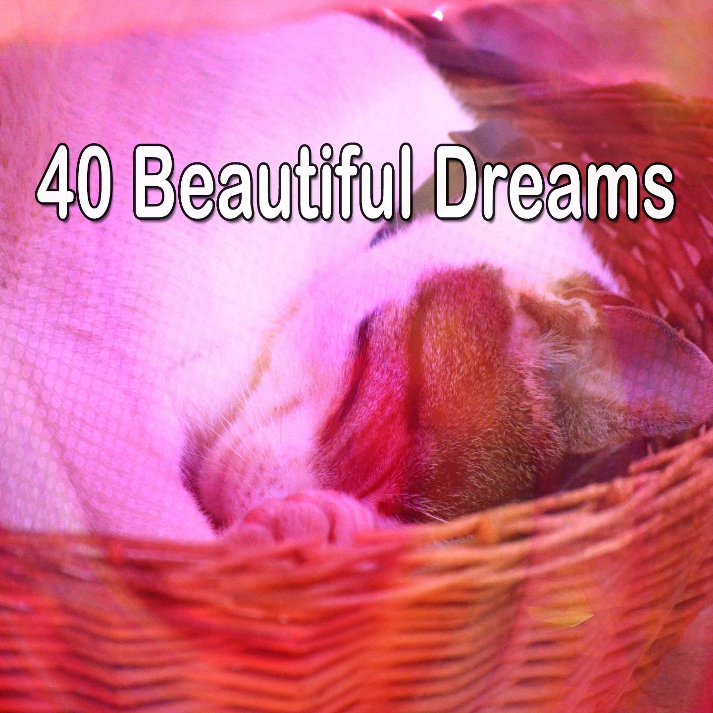 40 Beautiful Dreams
