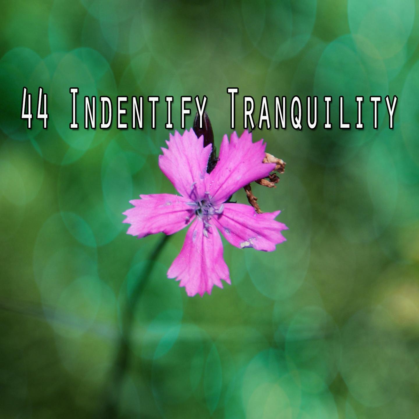 44 Indentify Tranquility