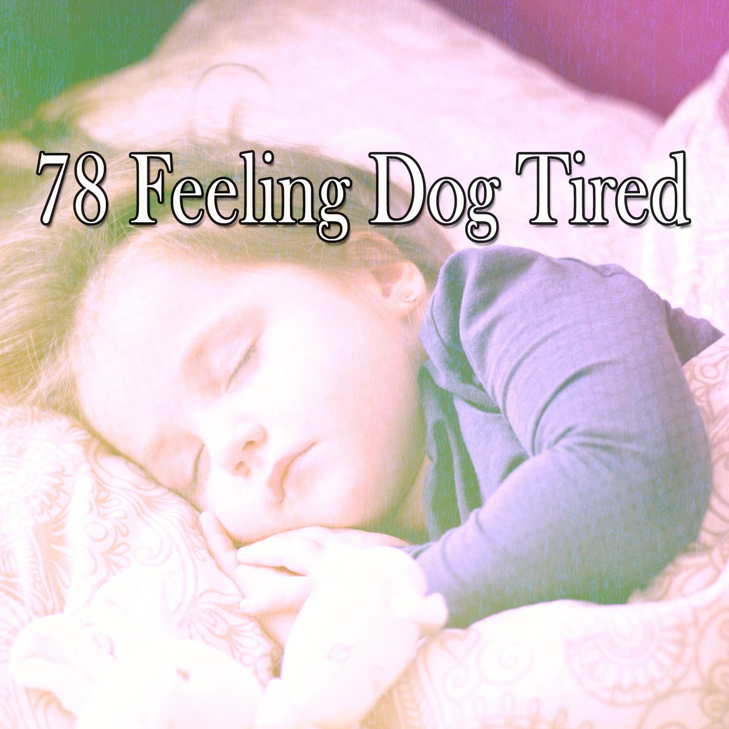 78 Feeling Dog Tired