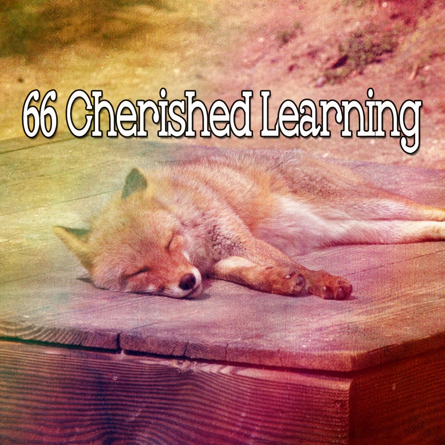 66 Cherished Learning