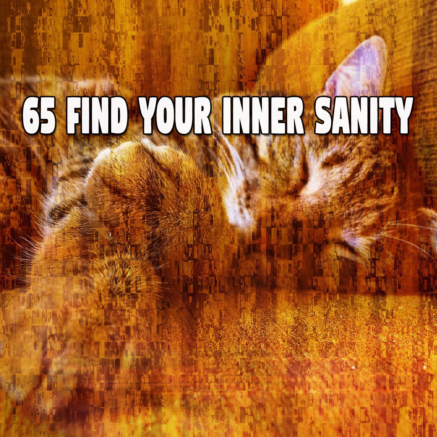65 Find Your Inner Sanity