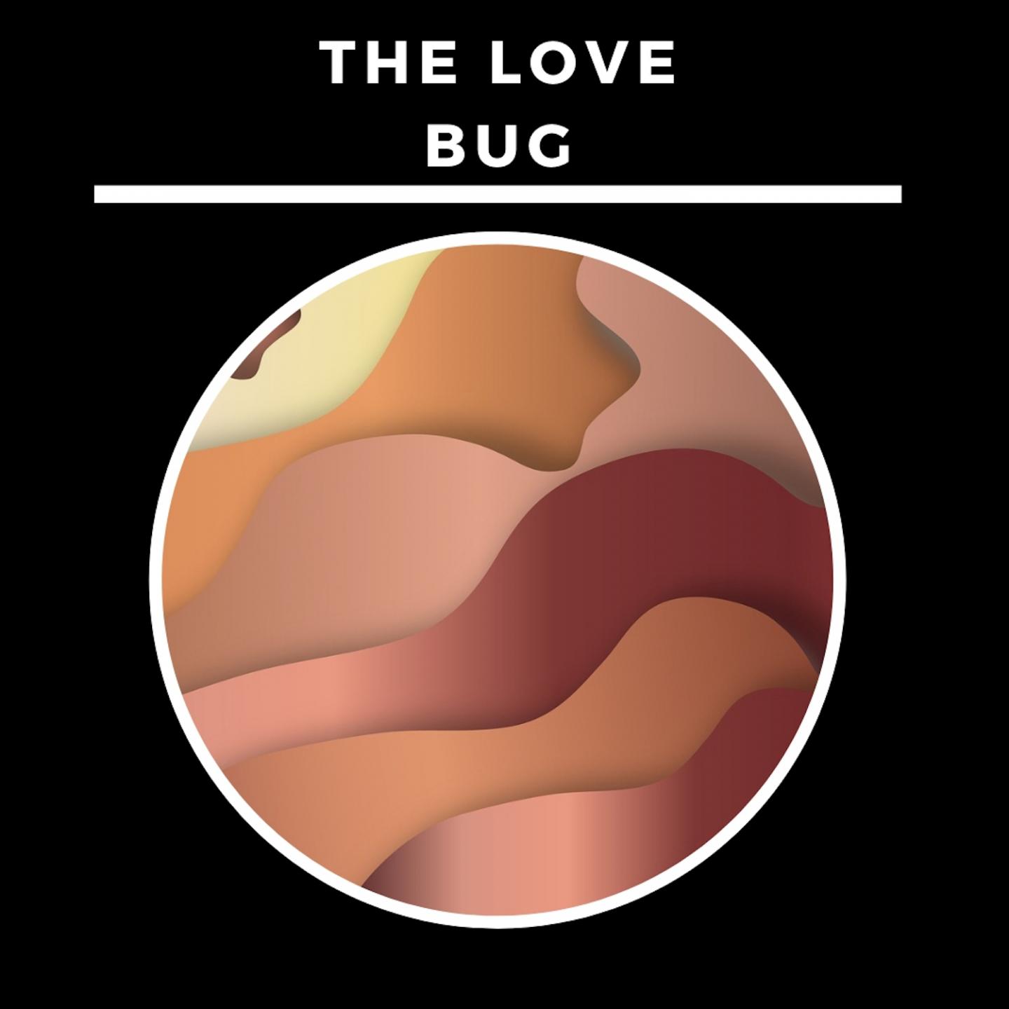 The Love Bug