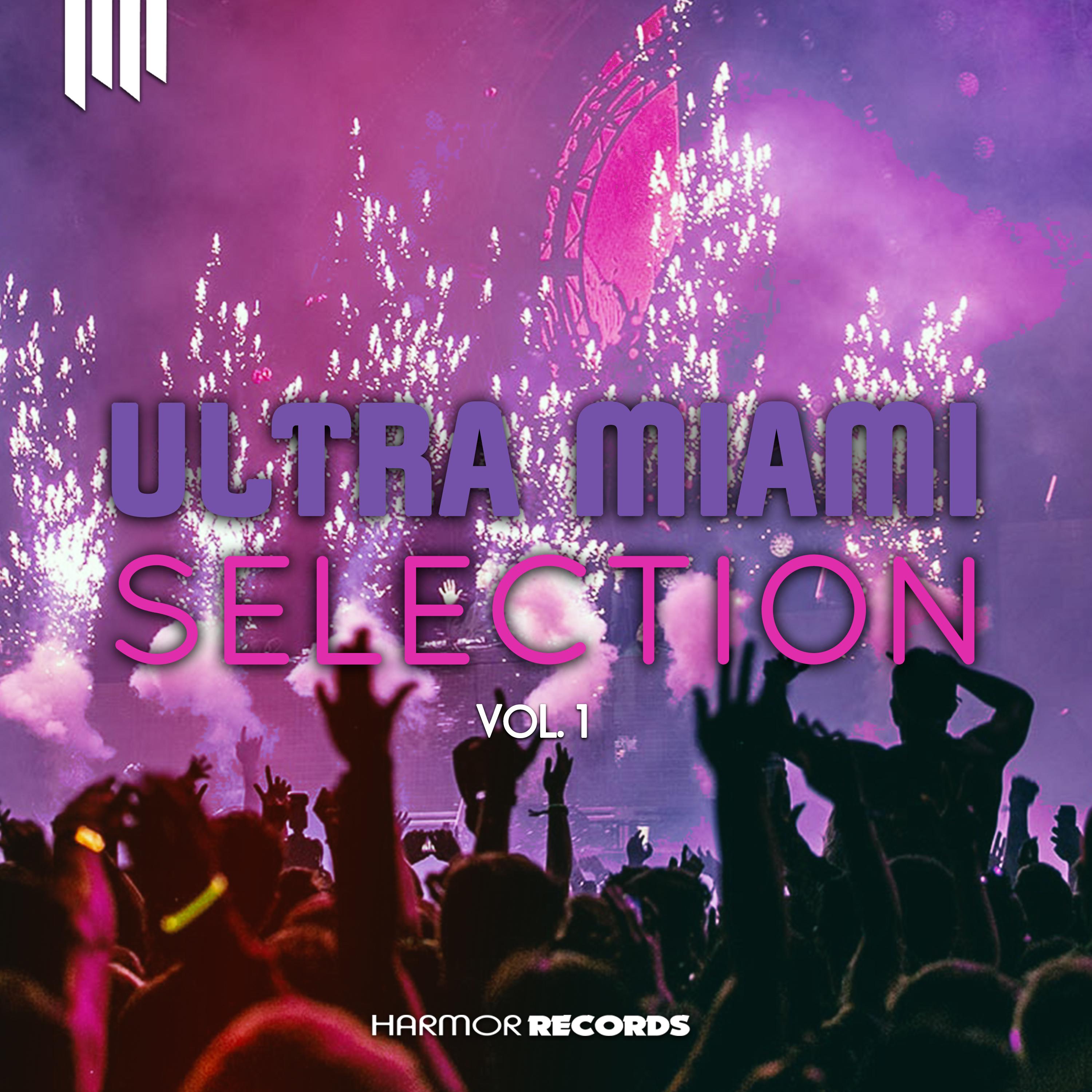 Ultra Miami Selection, Vol. 1