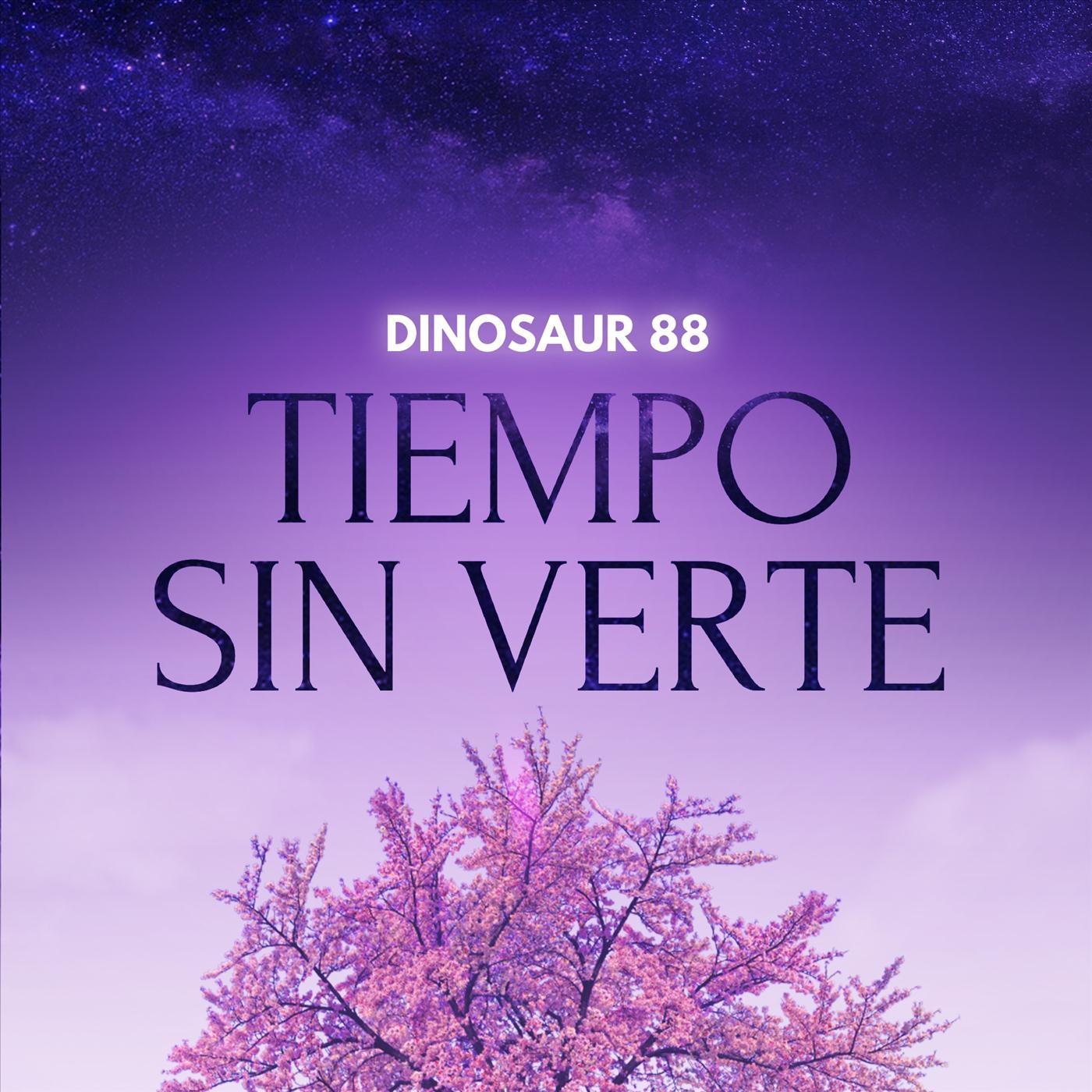 Tiempo Sin Verte