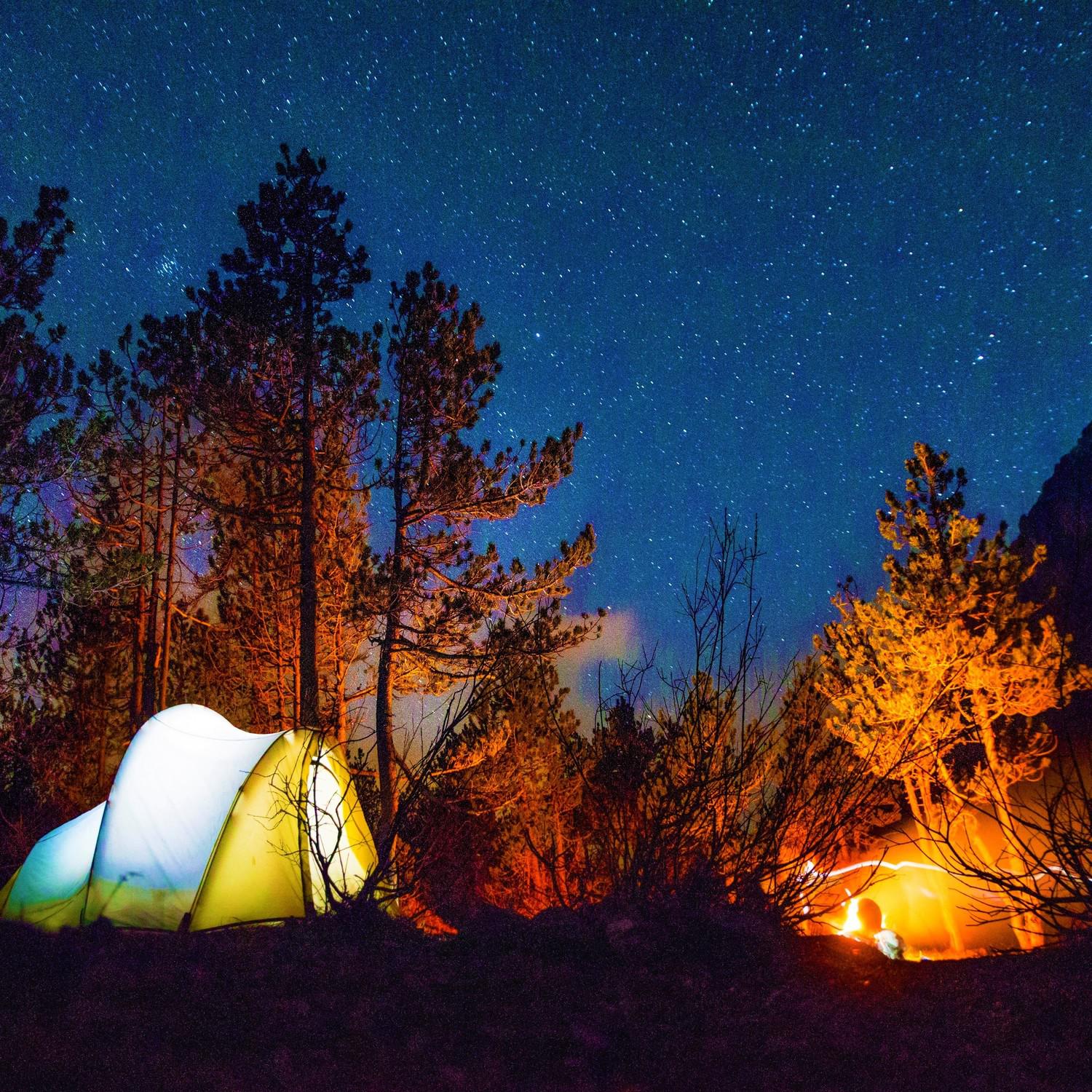 Crackling Campfire - Fire with Cricket Cicada - Camping in the Night