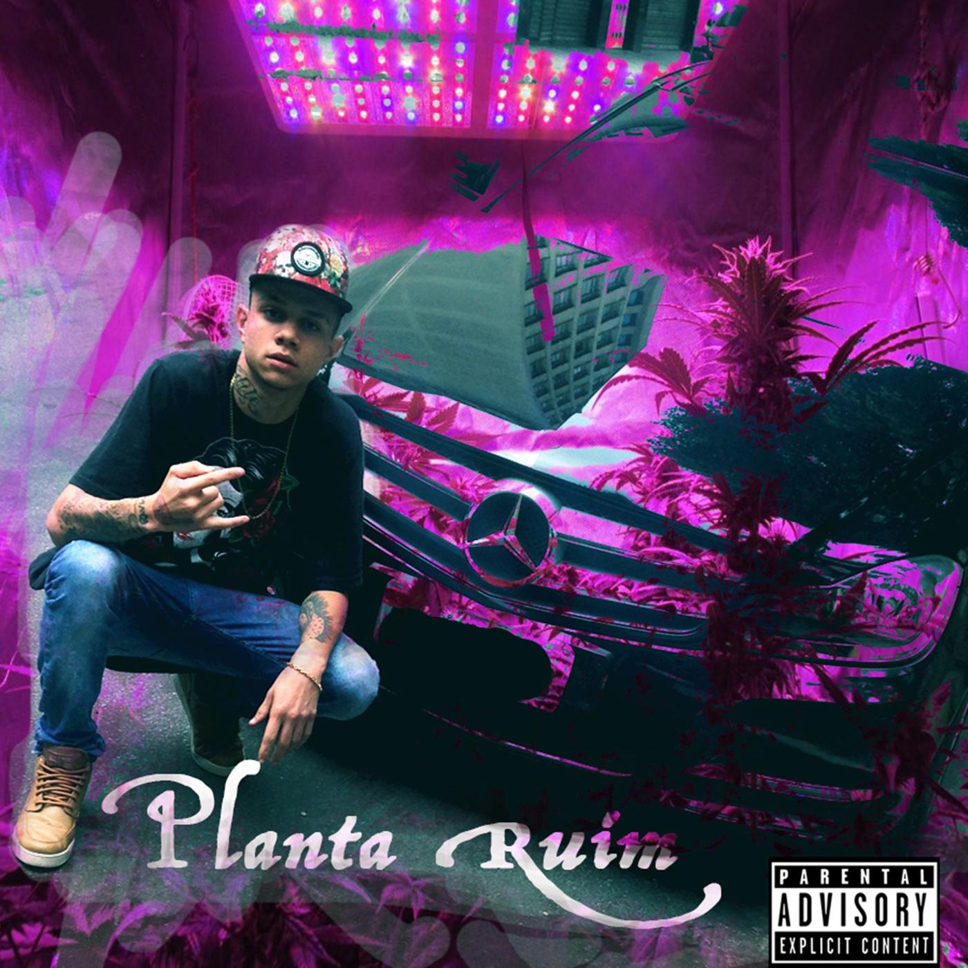 Planta Ruim