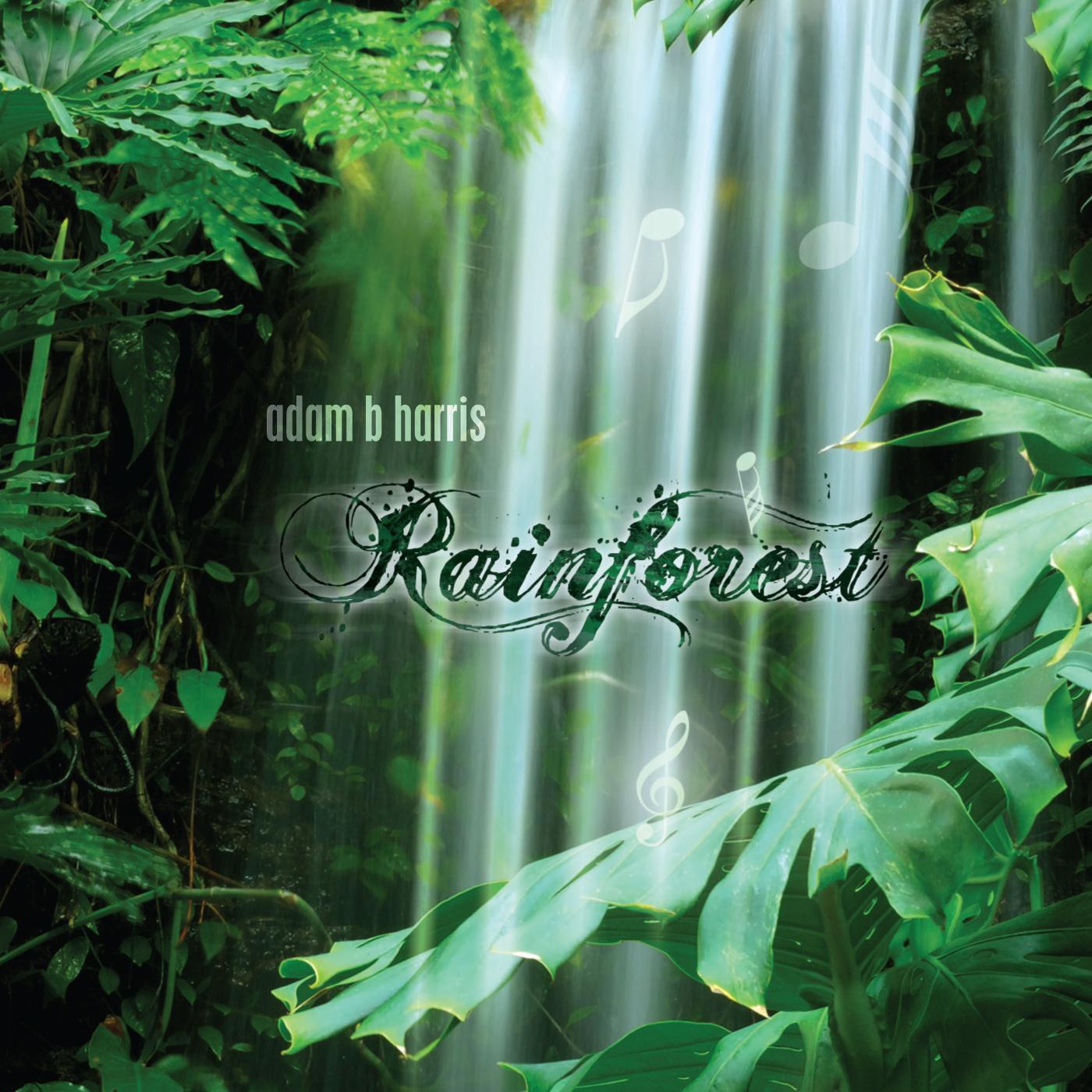 Rainforest