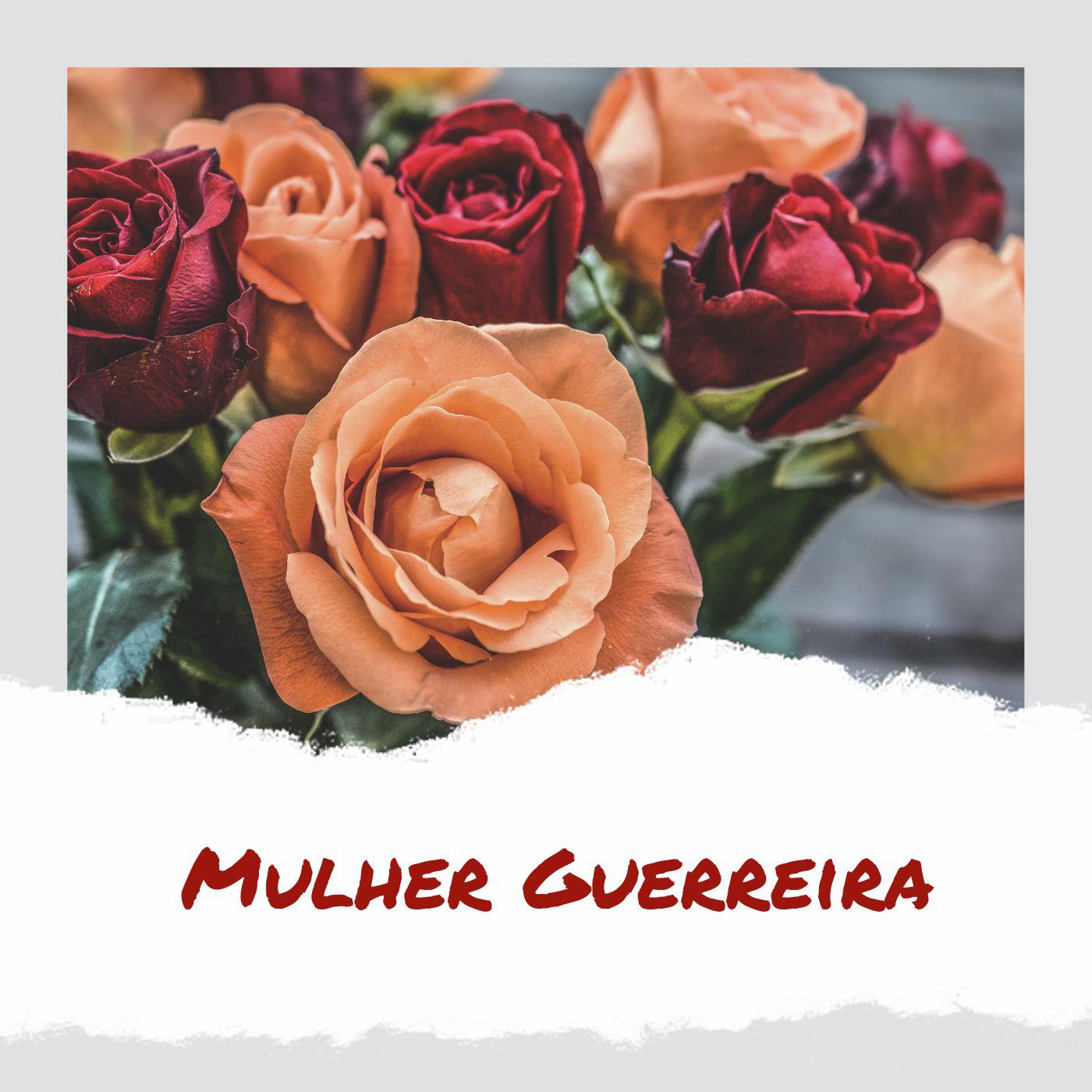 Mulher Guerreira, Pt. 02