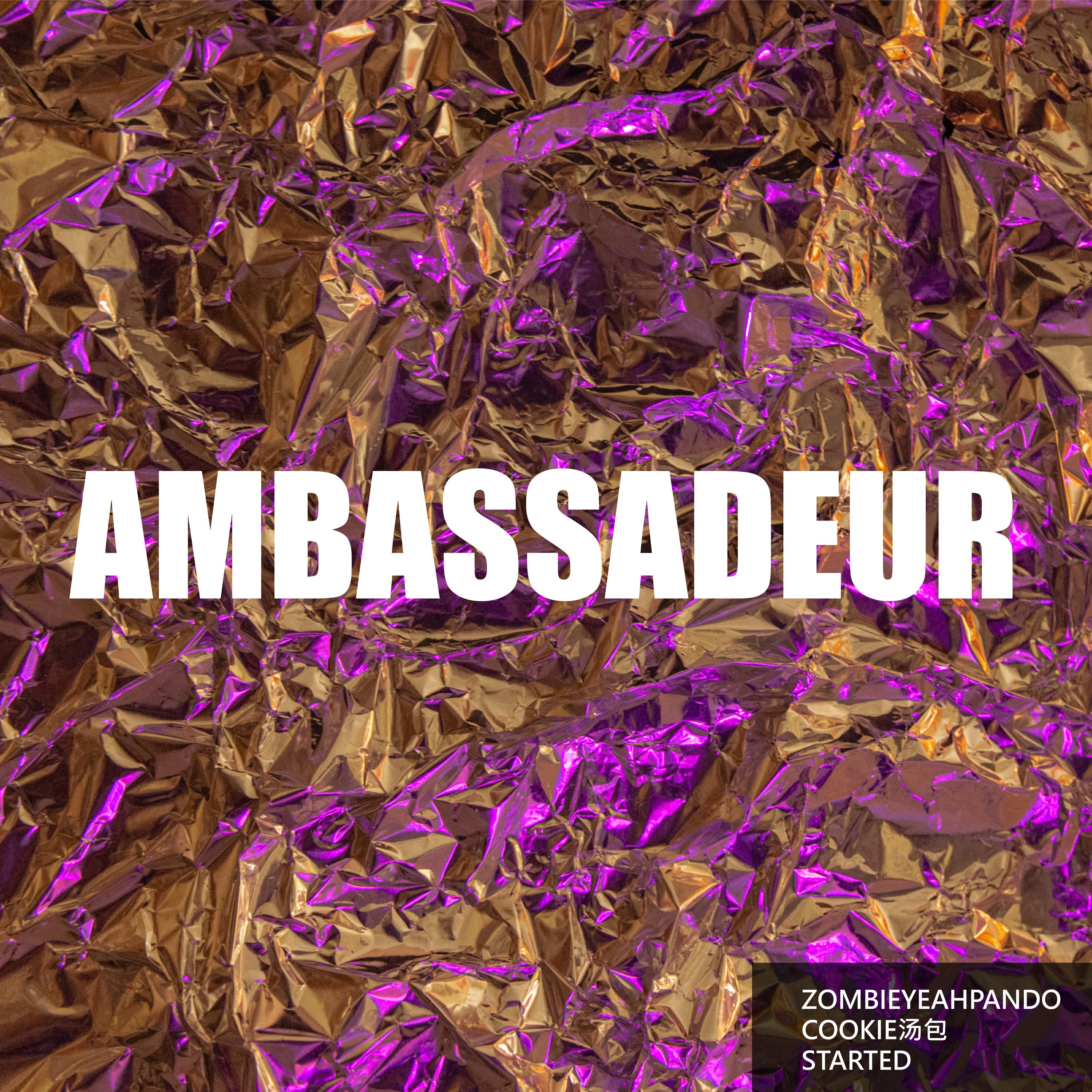 Ambassadeur