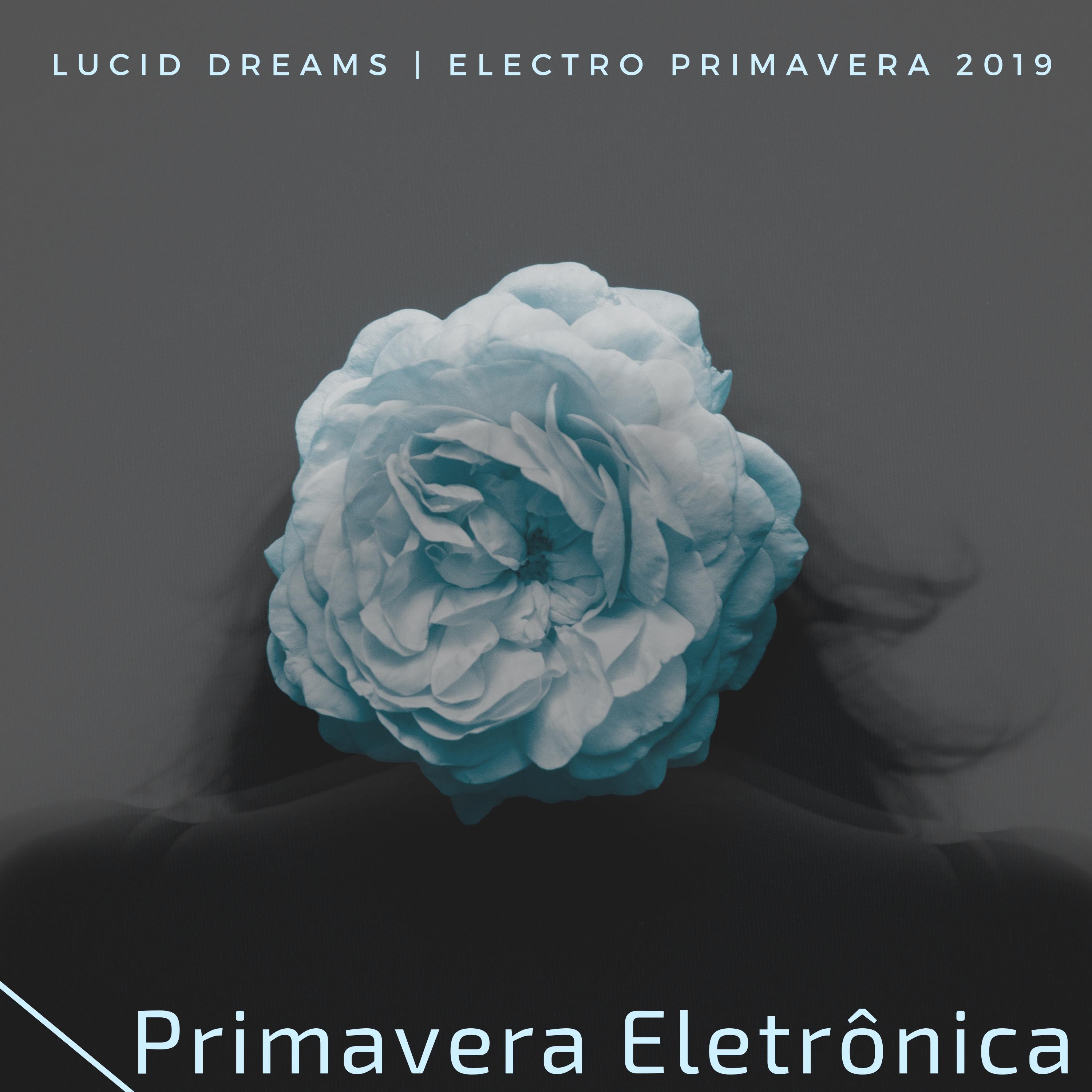 Primavera Eletrônica - Electro Primavera 2019, Lucid Dreams