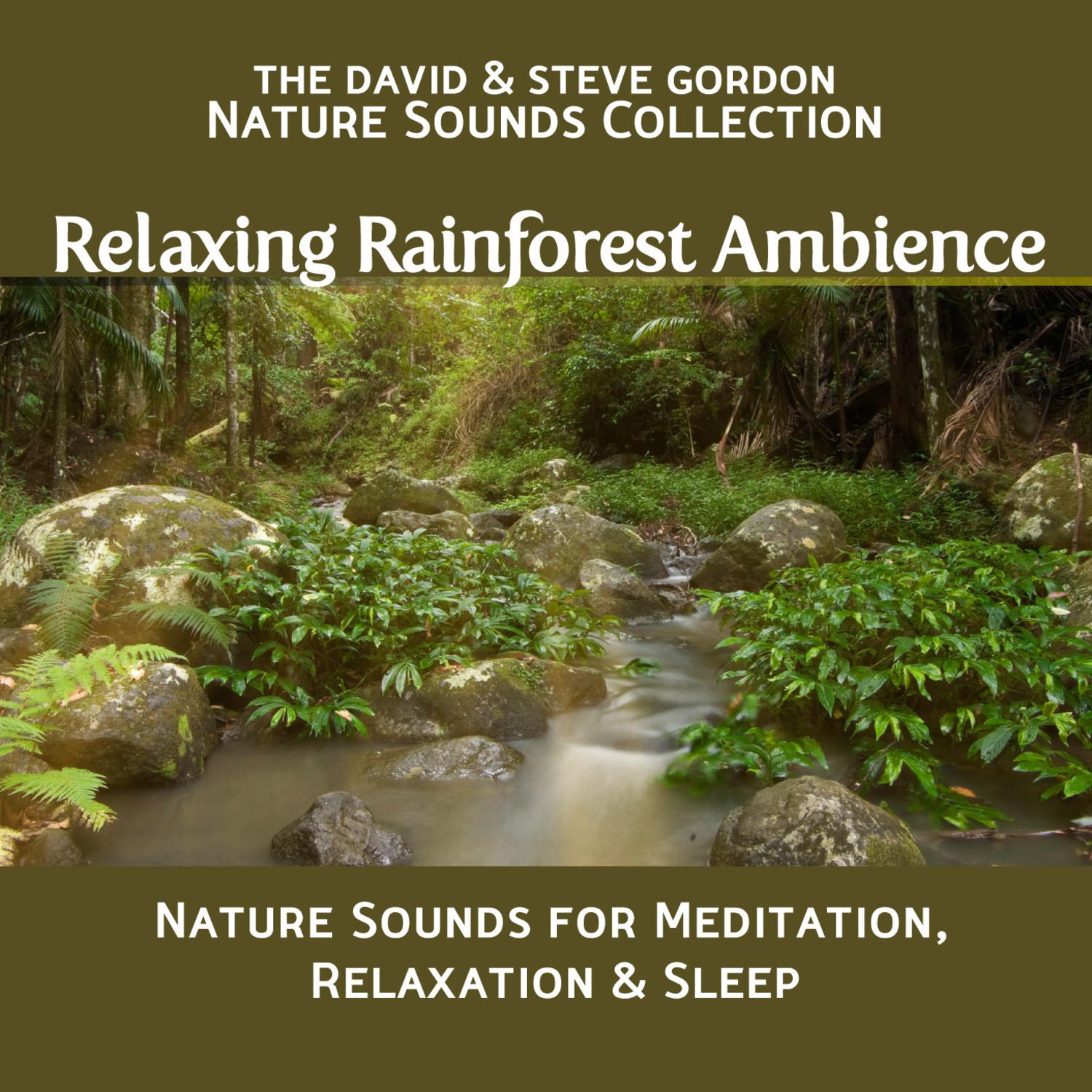 Relaxing Rainforest Ambience: Nature Sounds for Meditation, Relaxation and Sleep