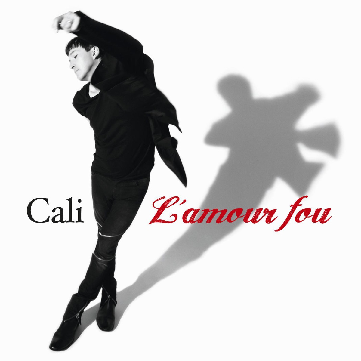 L'amour Fou (Radio Edit)