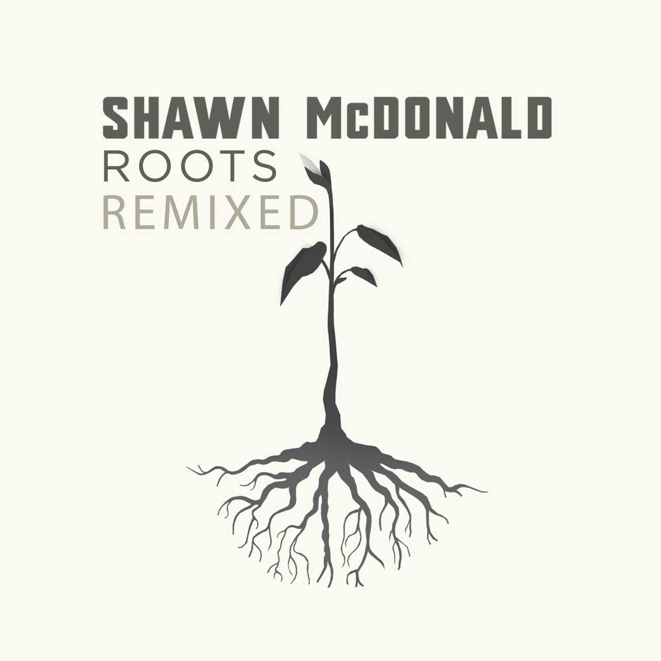 Shadowlands (remix)