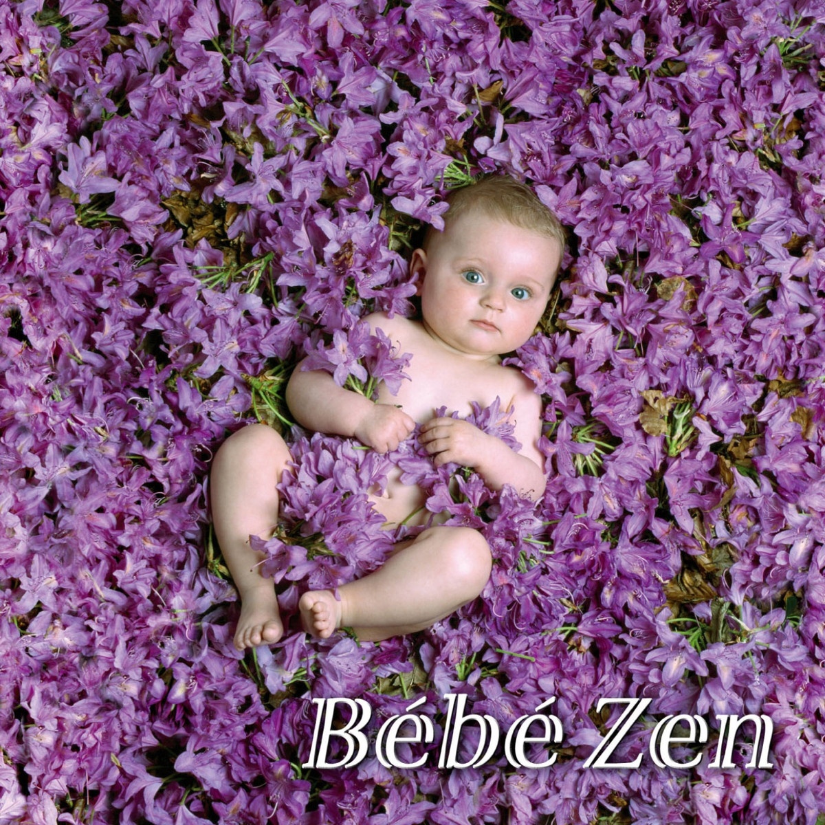 Bébé Zen