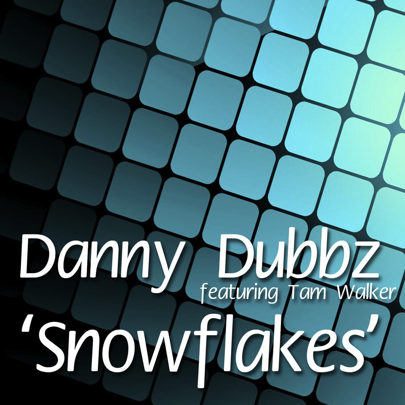 Snowflakes (feat. Tam Walker)