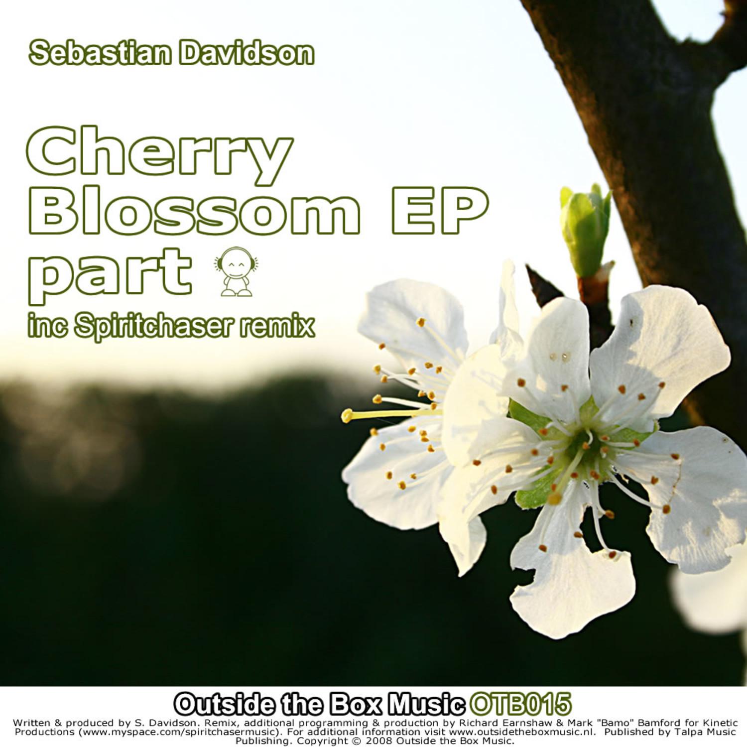 Cherry Blossom