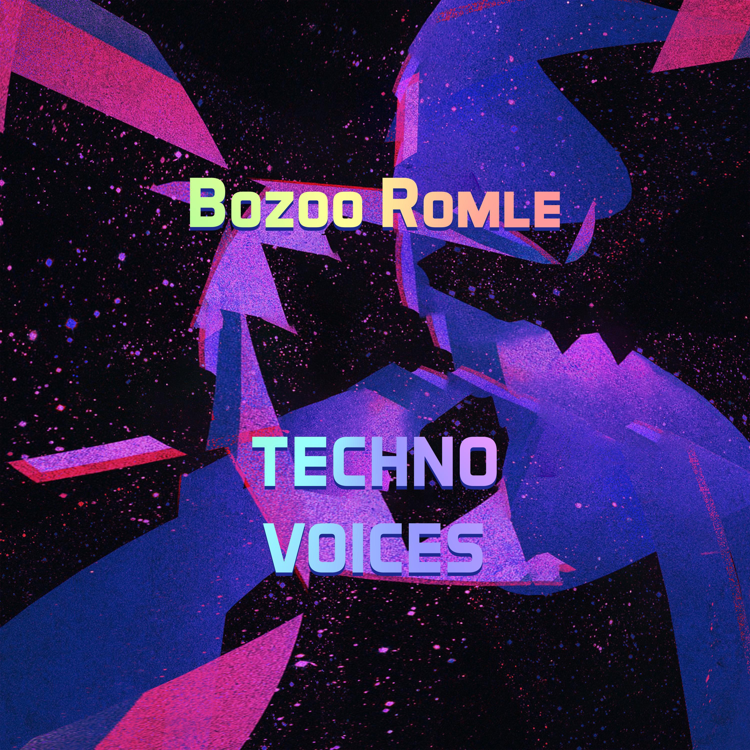 Techno Voices