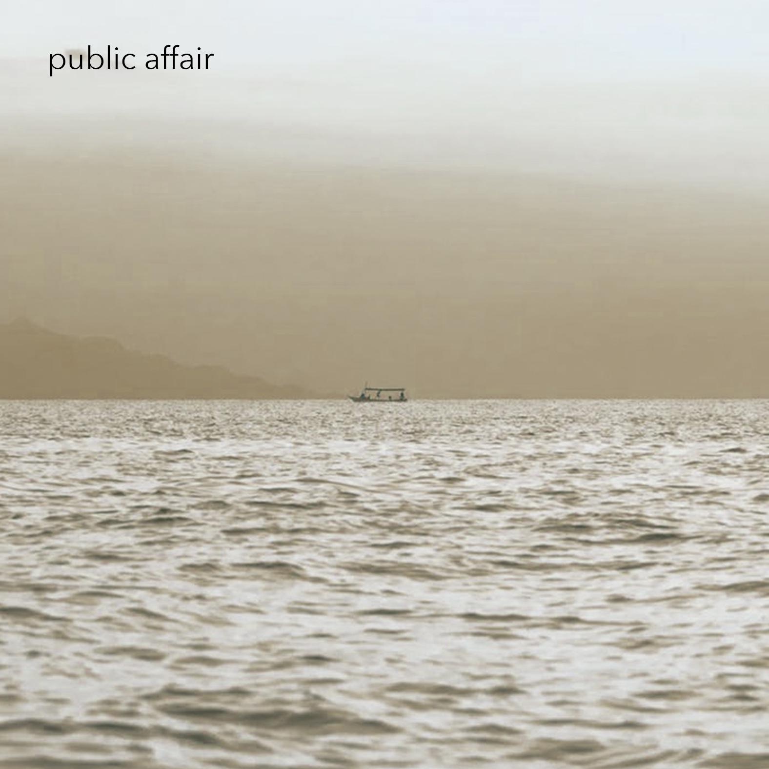 Introducing the Public Affair