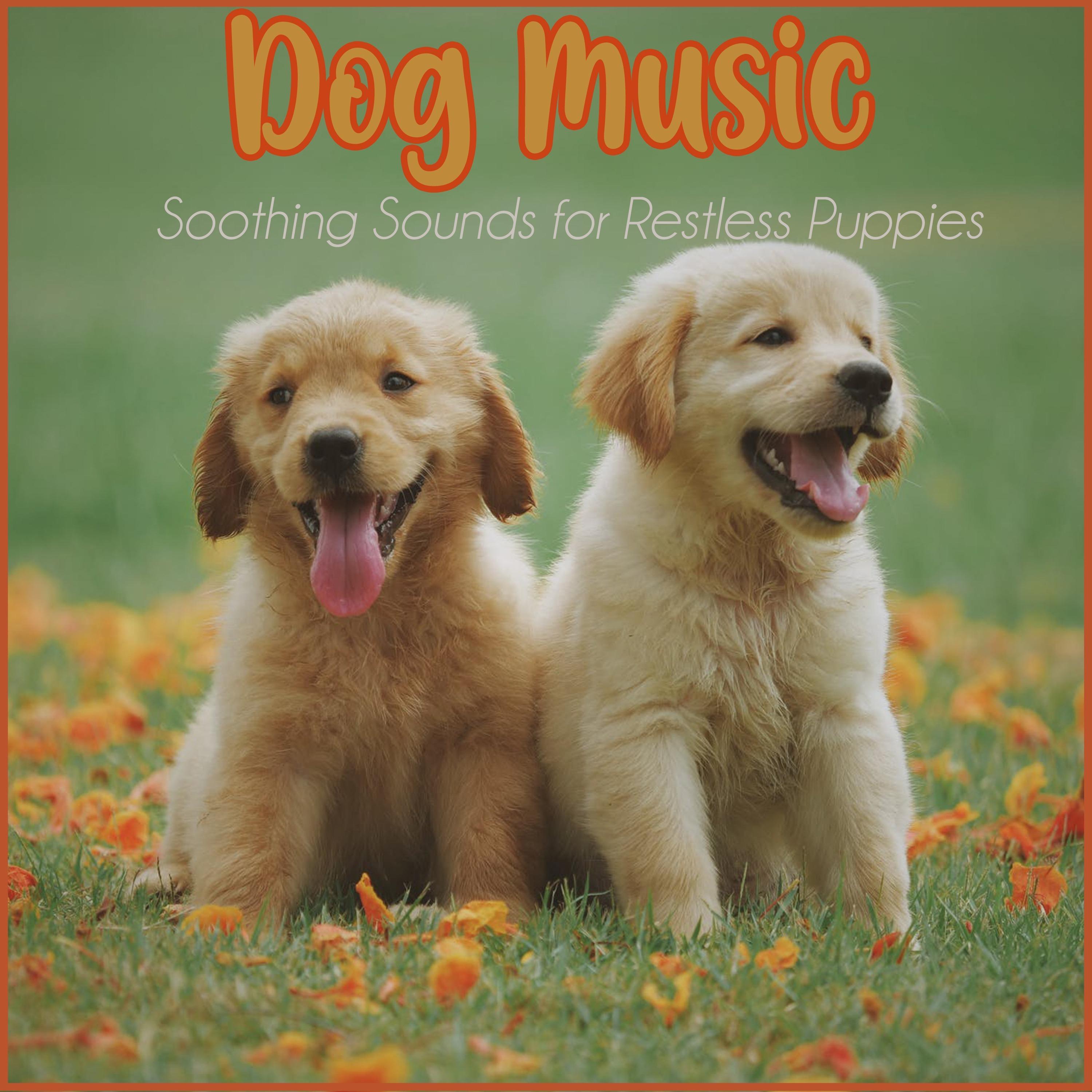 Dog Music: Soothing Sounds for Restless Puppies