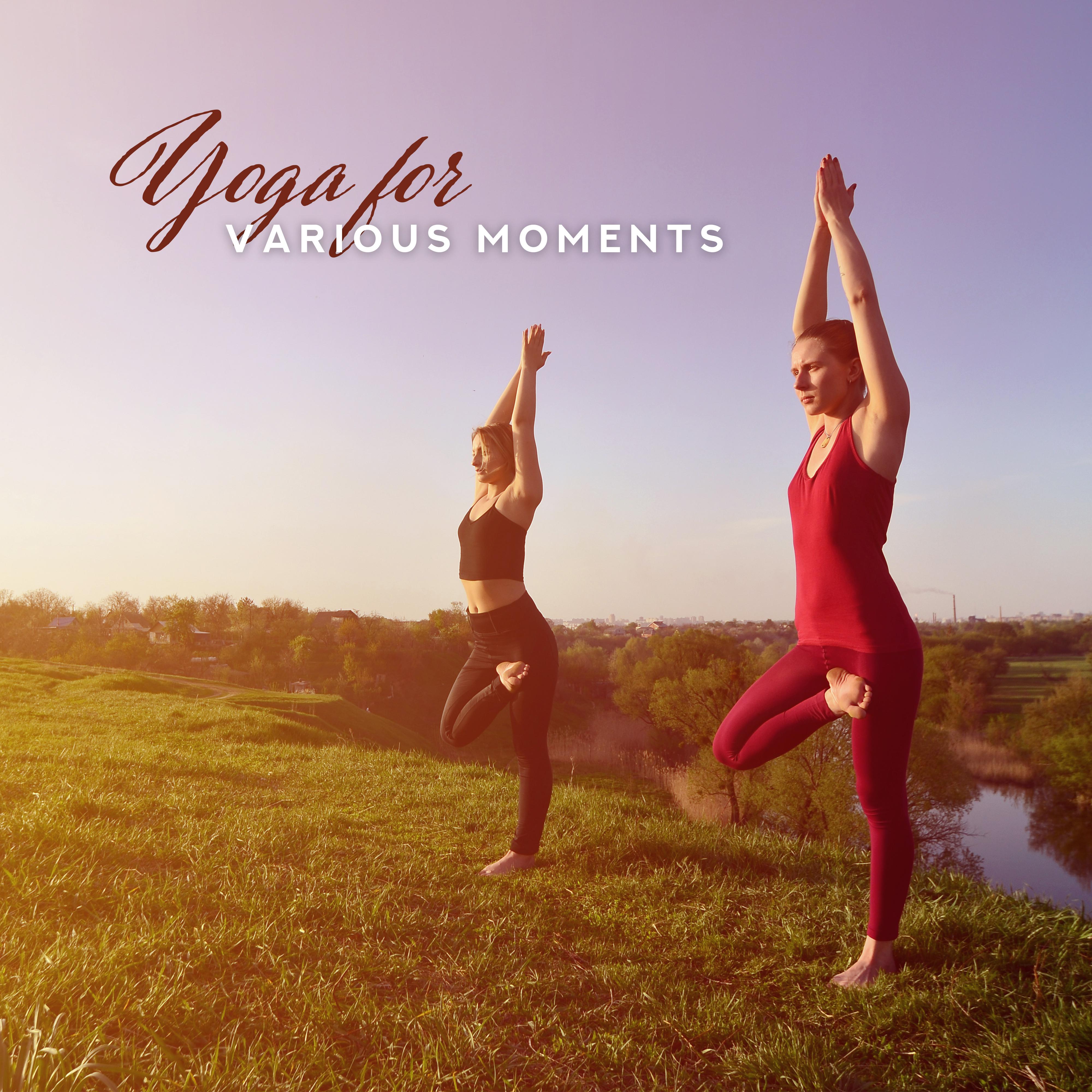 Yoga for Various Moments: 2019 Ambient New Age for Meditation & Relaxation in Different Occasions