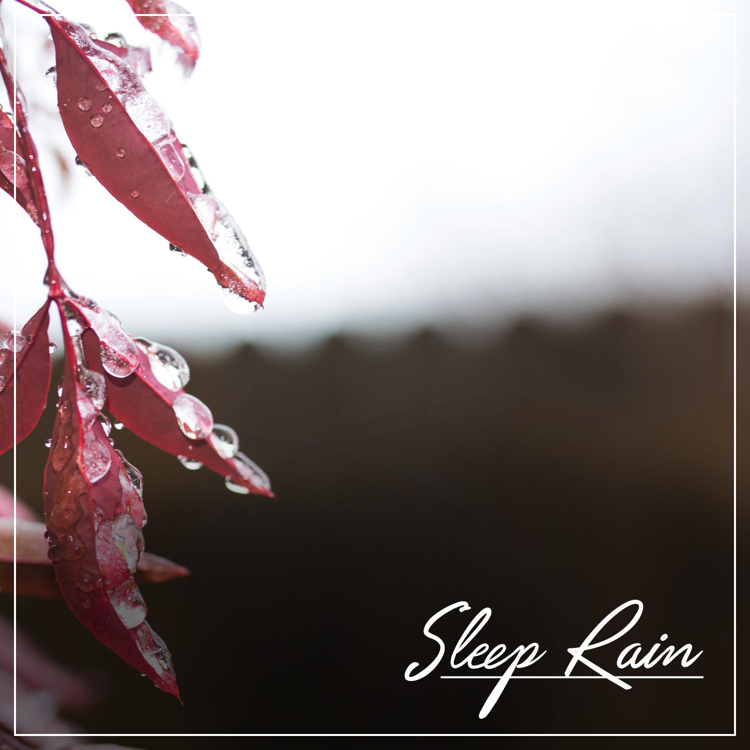 Rain Sounds for Meditation: Sleep Rain Compilation, Insomnia, Trouble Sleeping, Yoga, Focus, Study, Zen and Calming Rain