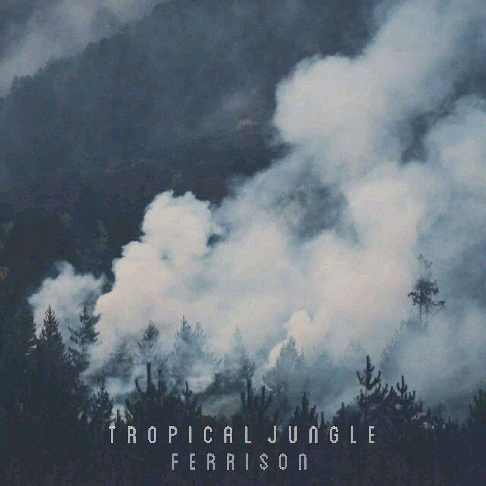 Tropical Jungle