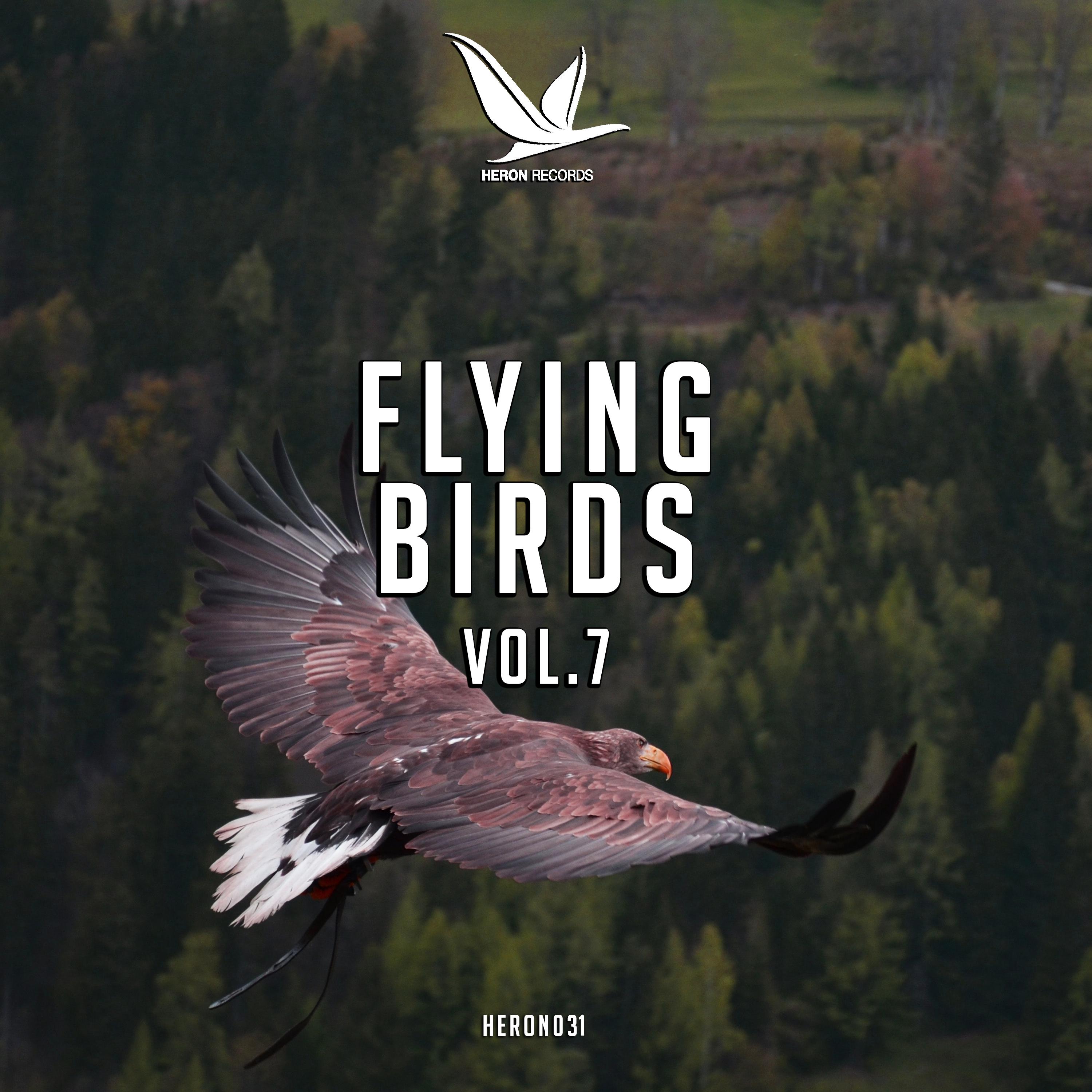 Flying Birds, Vol. 7